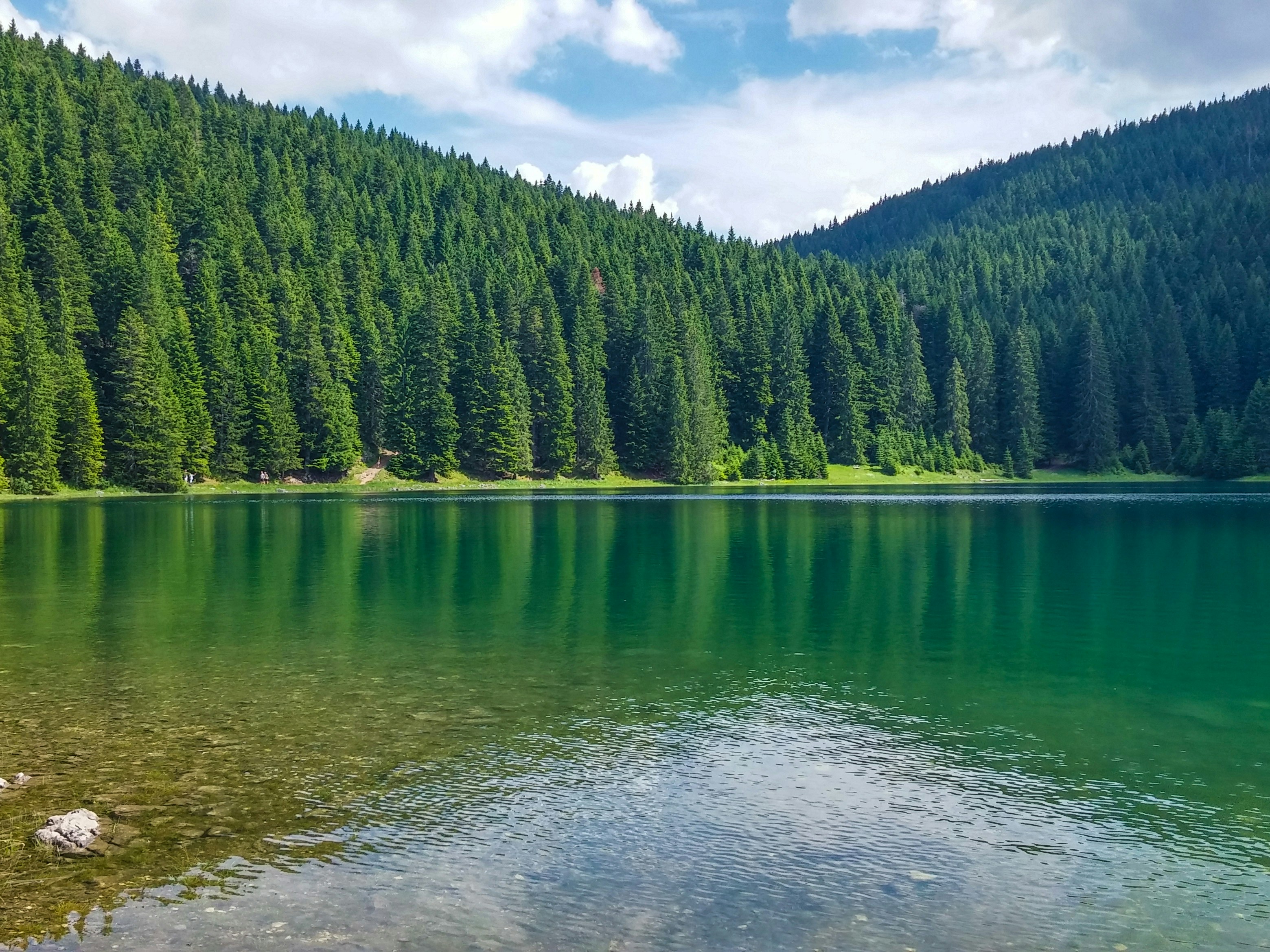 Photo by bear_lissimo