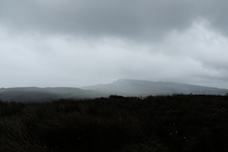 A moody landscape with rolling hills under a dramatic cloudy sky.