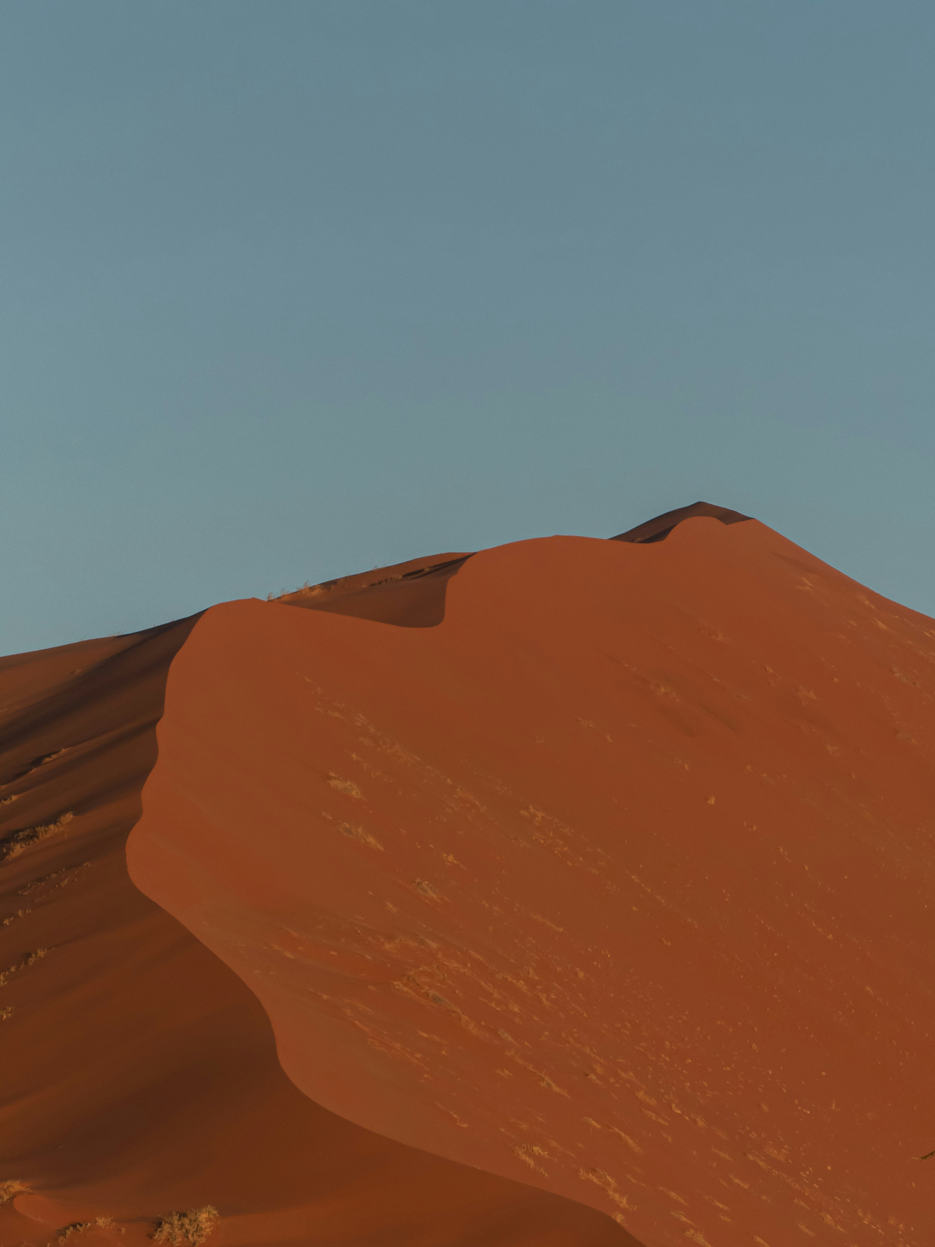 Photo by patphotographyman