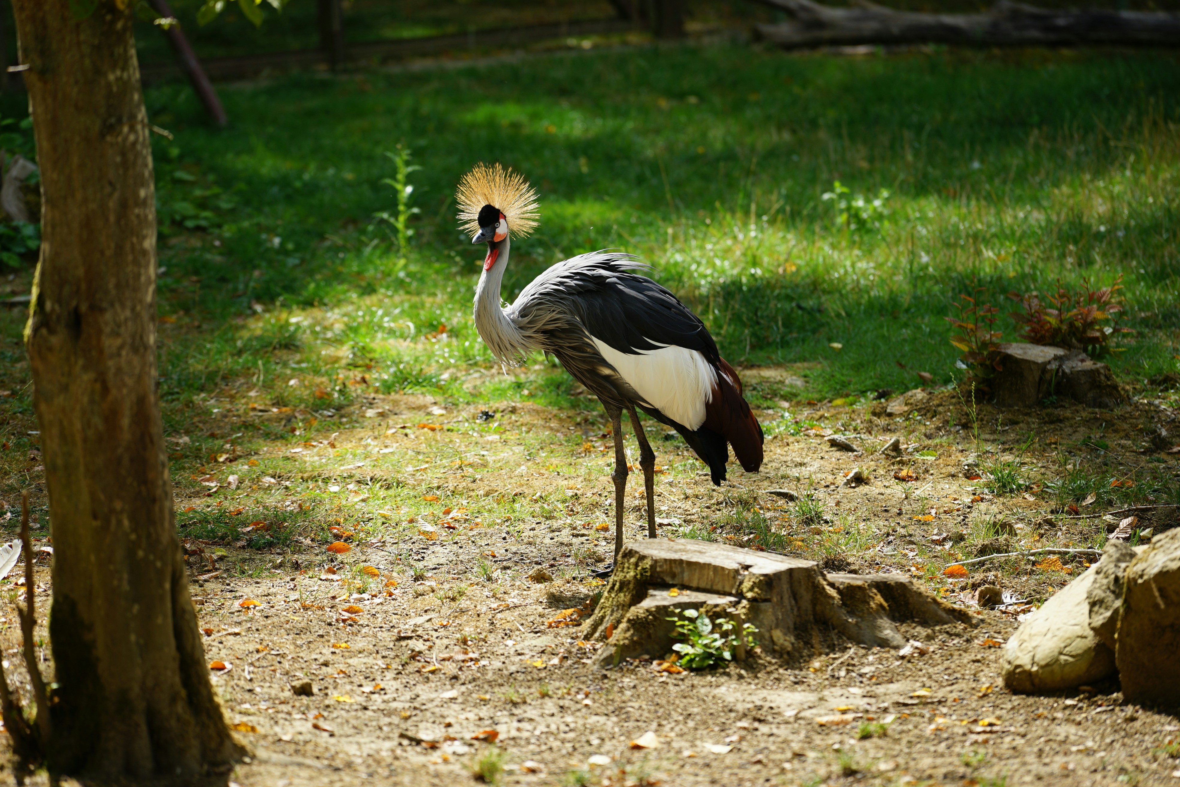 Photo by olivierkurt12