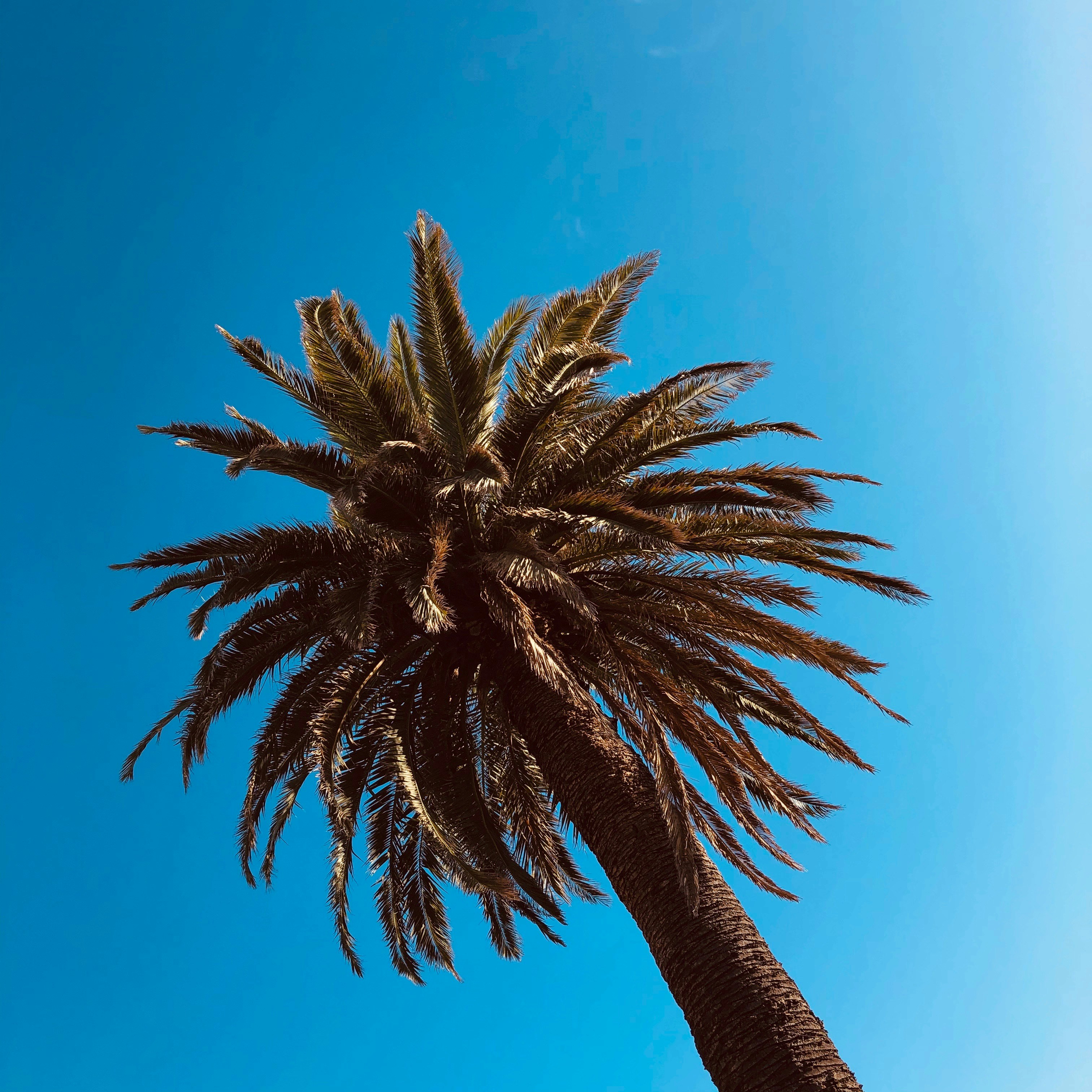 Photo by josh_jstar123