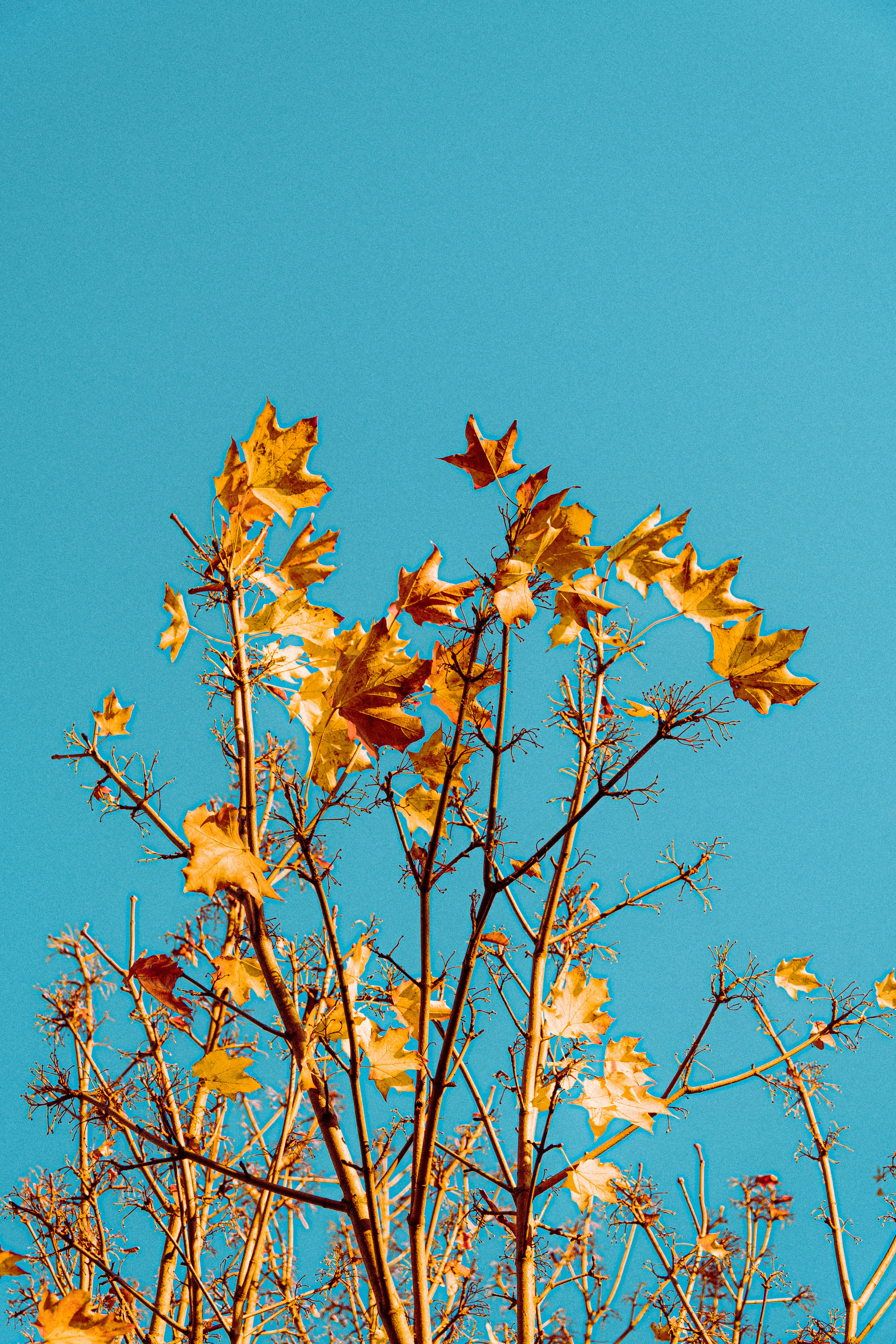 minimalist fall layers, wallpaper, Long Sleeve Tees: Styling for Perfect Layers 3