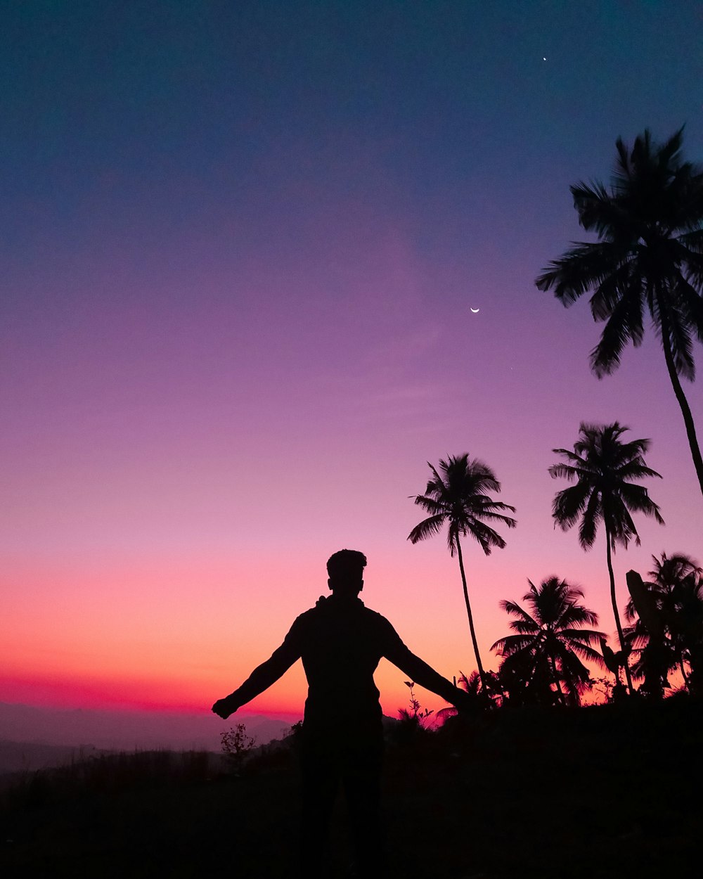 silhouette of person near palm trees during golden hour