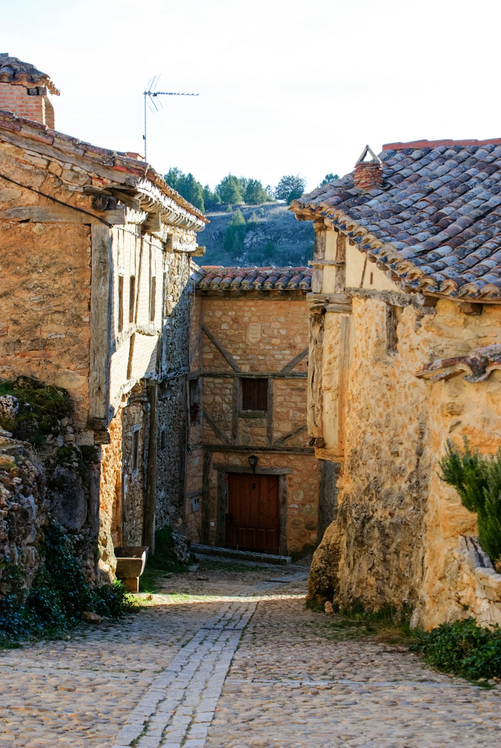 road and buildings during day