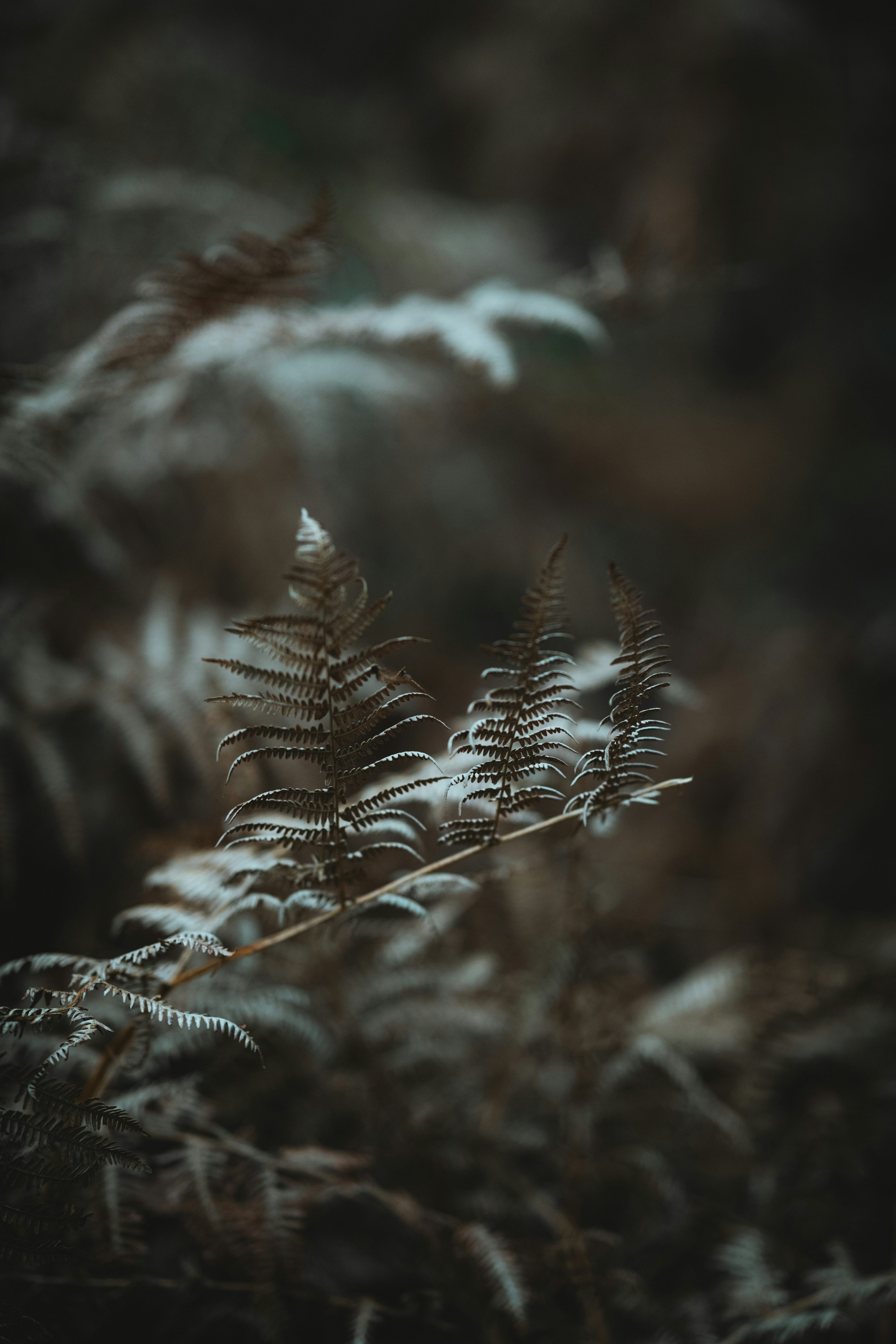 Photo by anniespratt