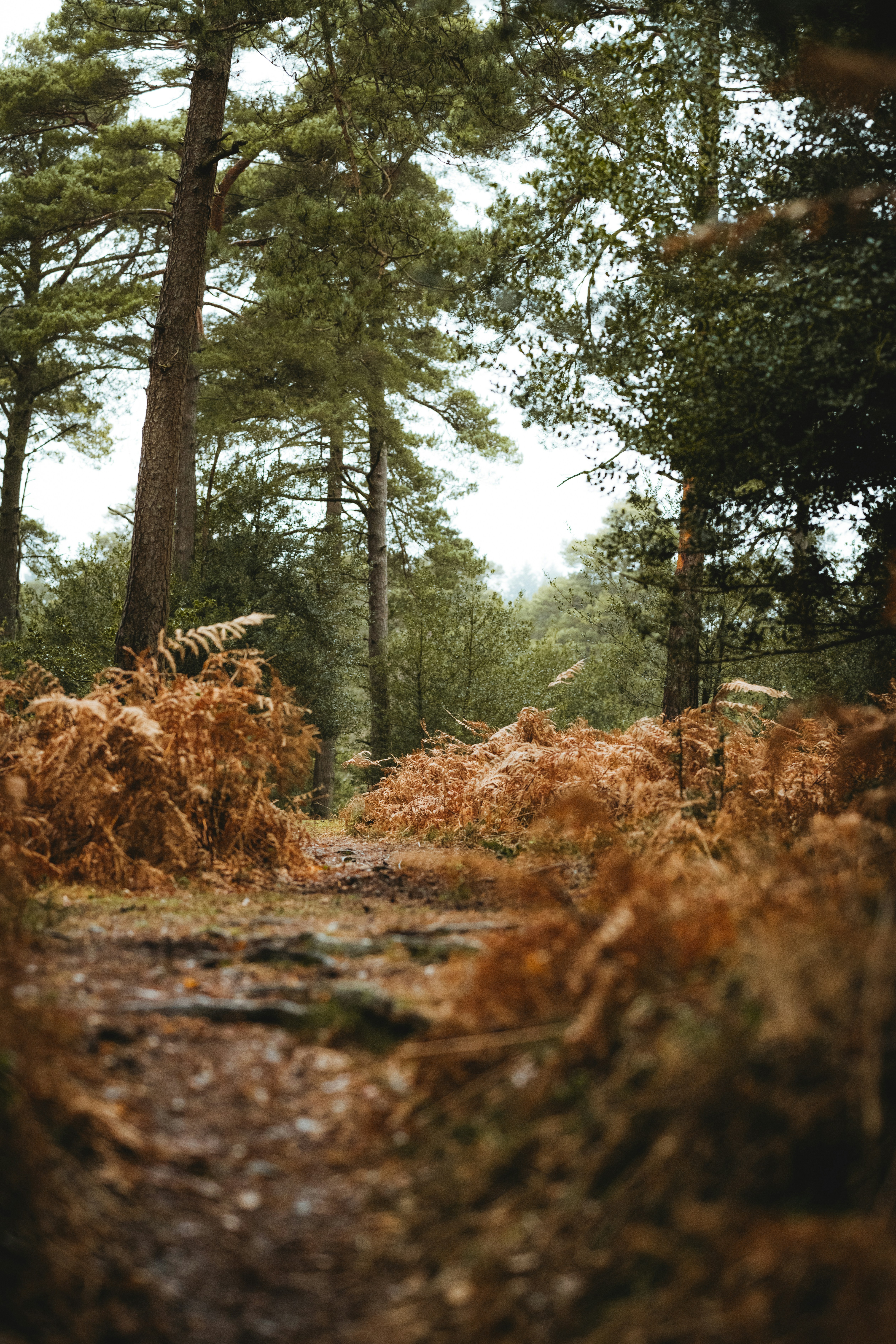 Photo by anniespratt