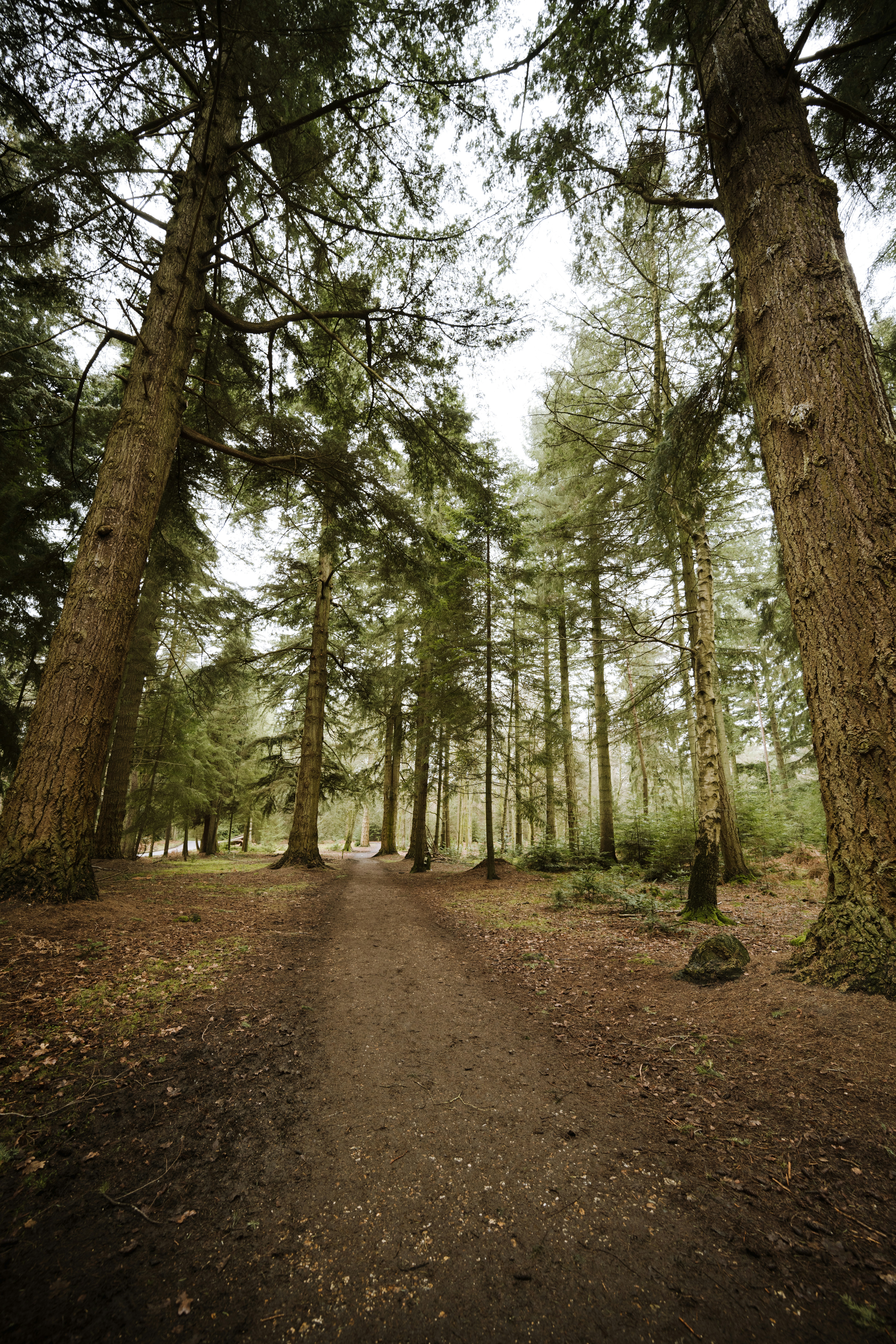 Photo by anniespratt