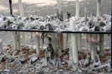 A scene of melted and partially melted candles on a black metal stand. The wax appears to have dripped extensively, creating intricate patterns and structures. Some candles are still burning, with small flames visible. The surrounding ground is covered in wax drippings and fallen leaves, adding texture to the scene. The background features a stone pavement surface.