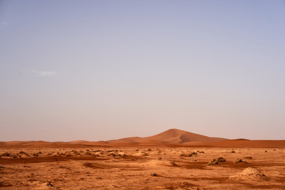 desert field