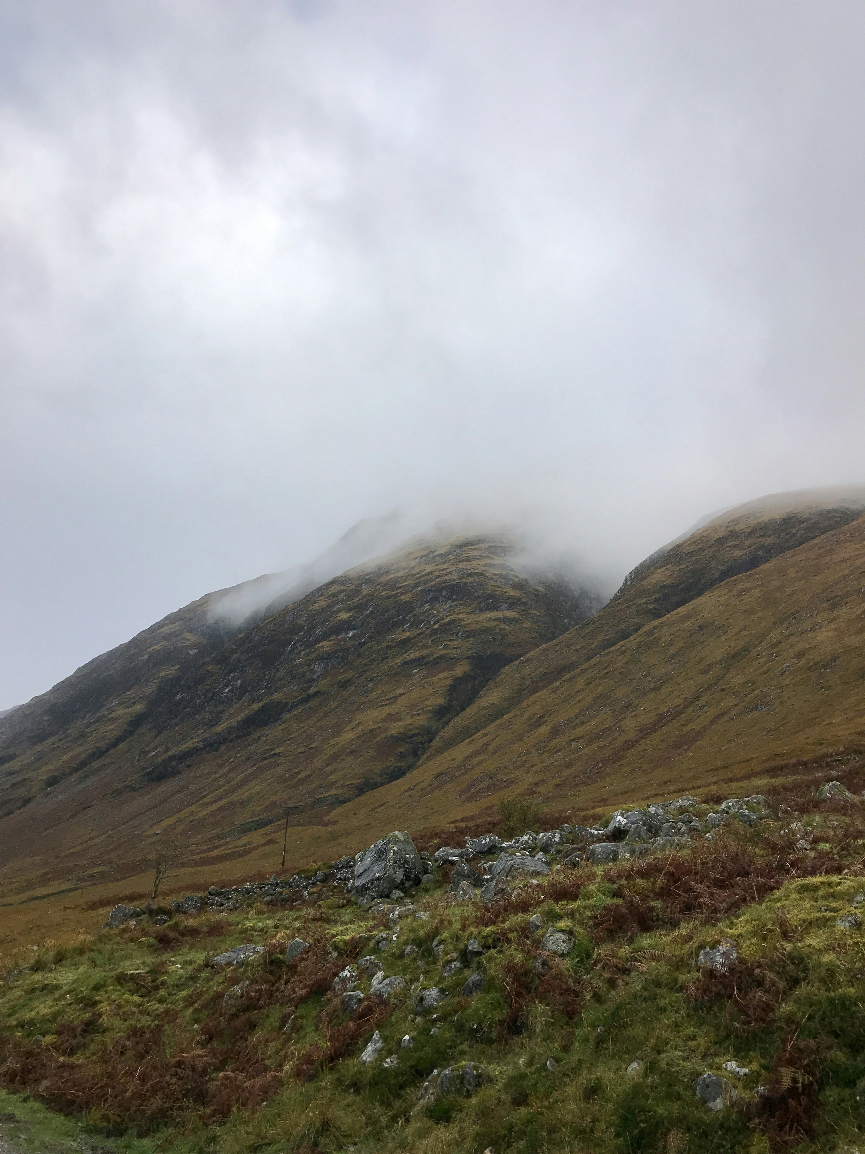 Photo by psdickenson