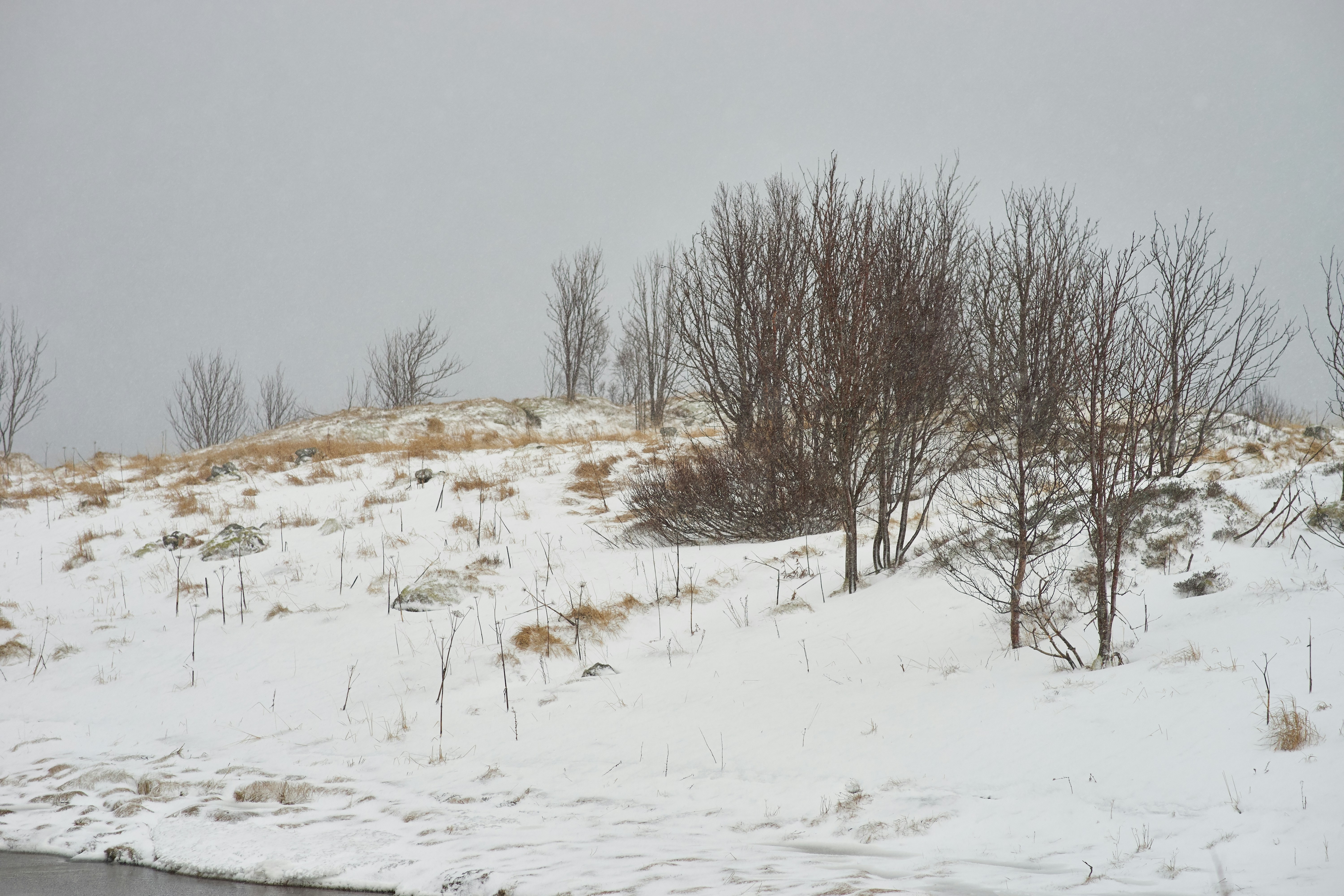 Photo by wolfgang_hasselmann