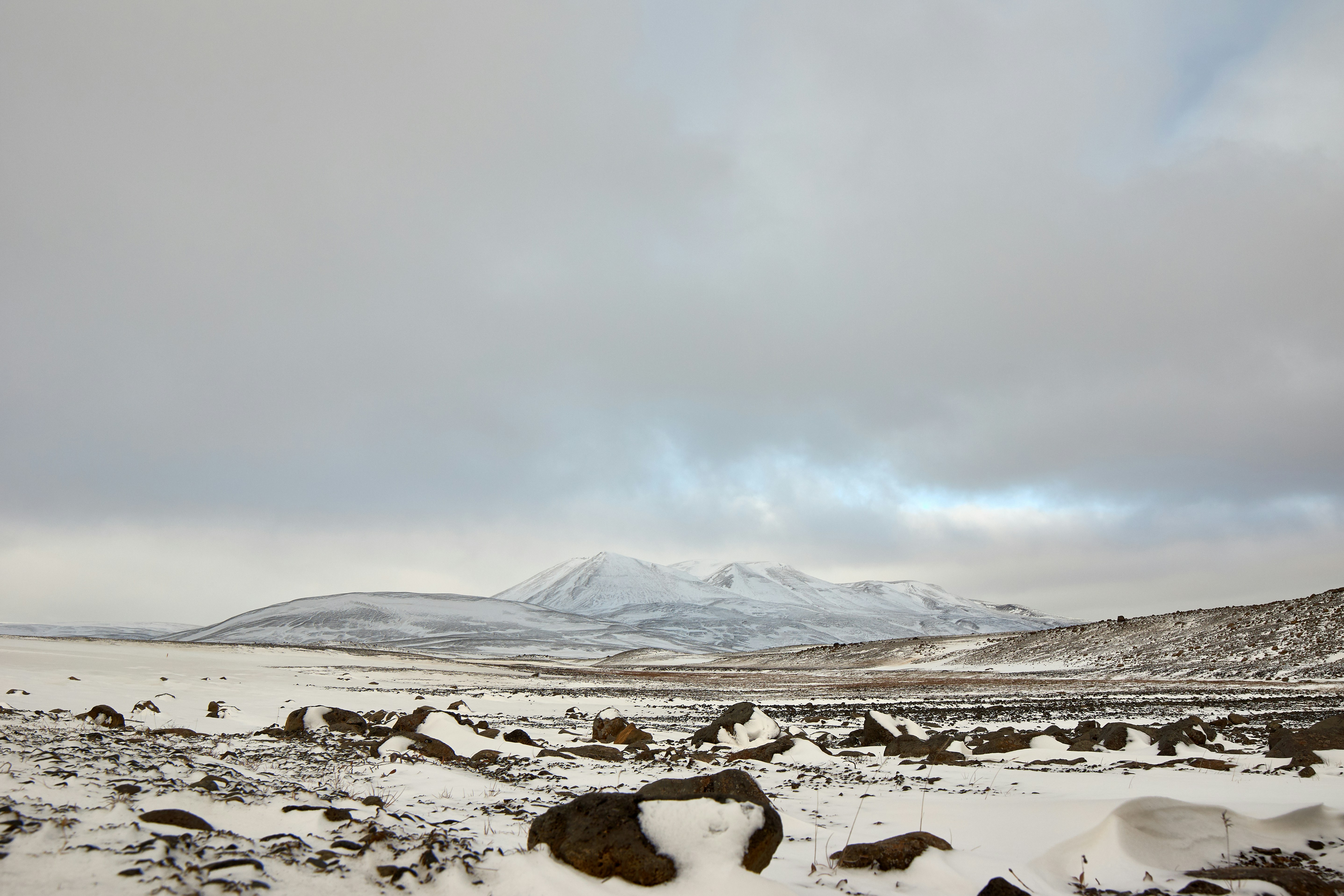 Photo by wolfgang_hasselmann