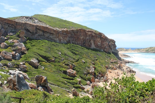 rocky grass field island during day in Robberg Nature Reserve South Africa