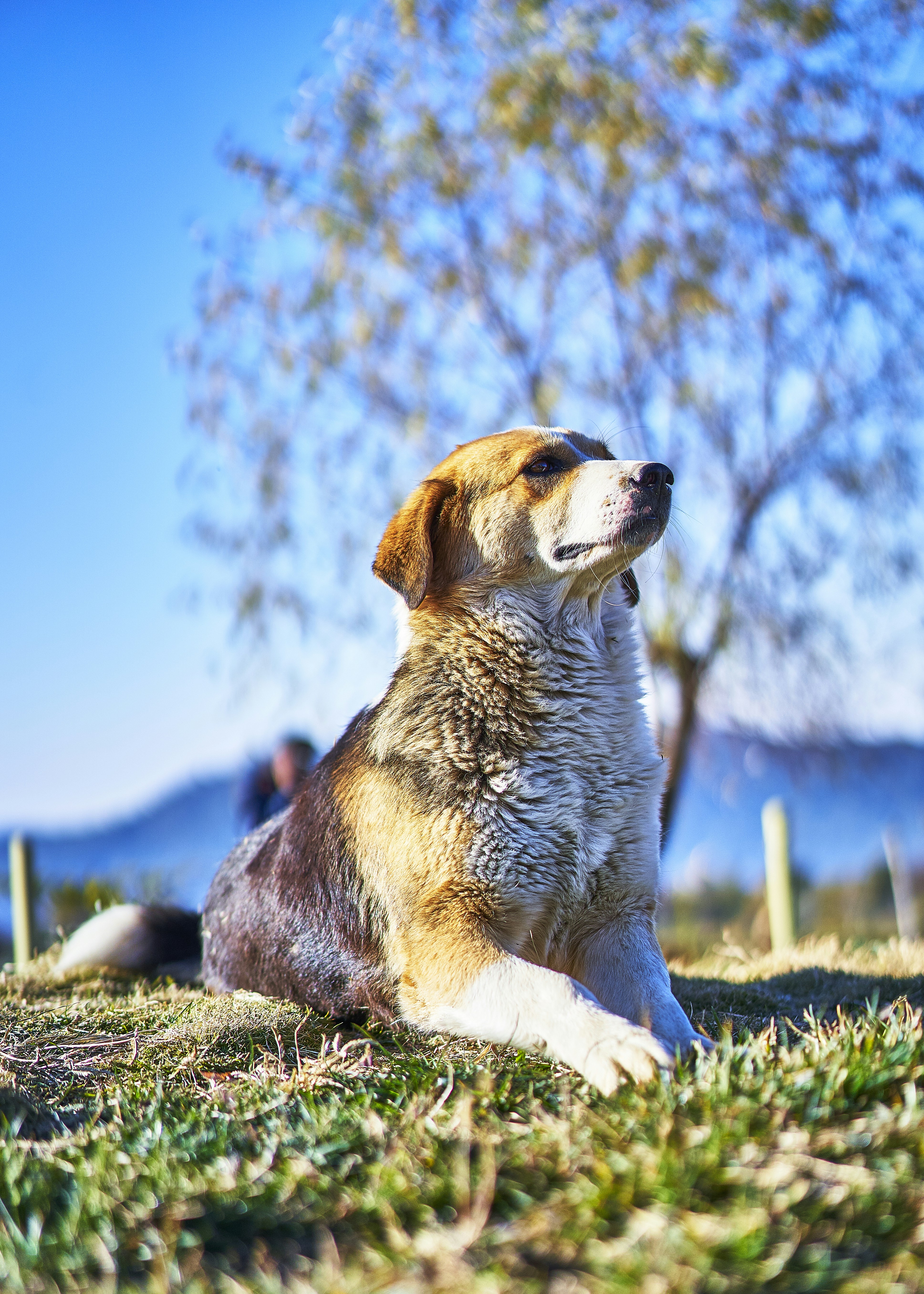 Photo by suicide_chewbacca