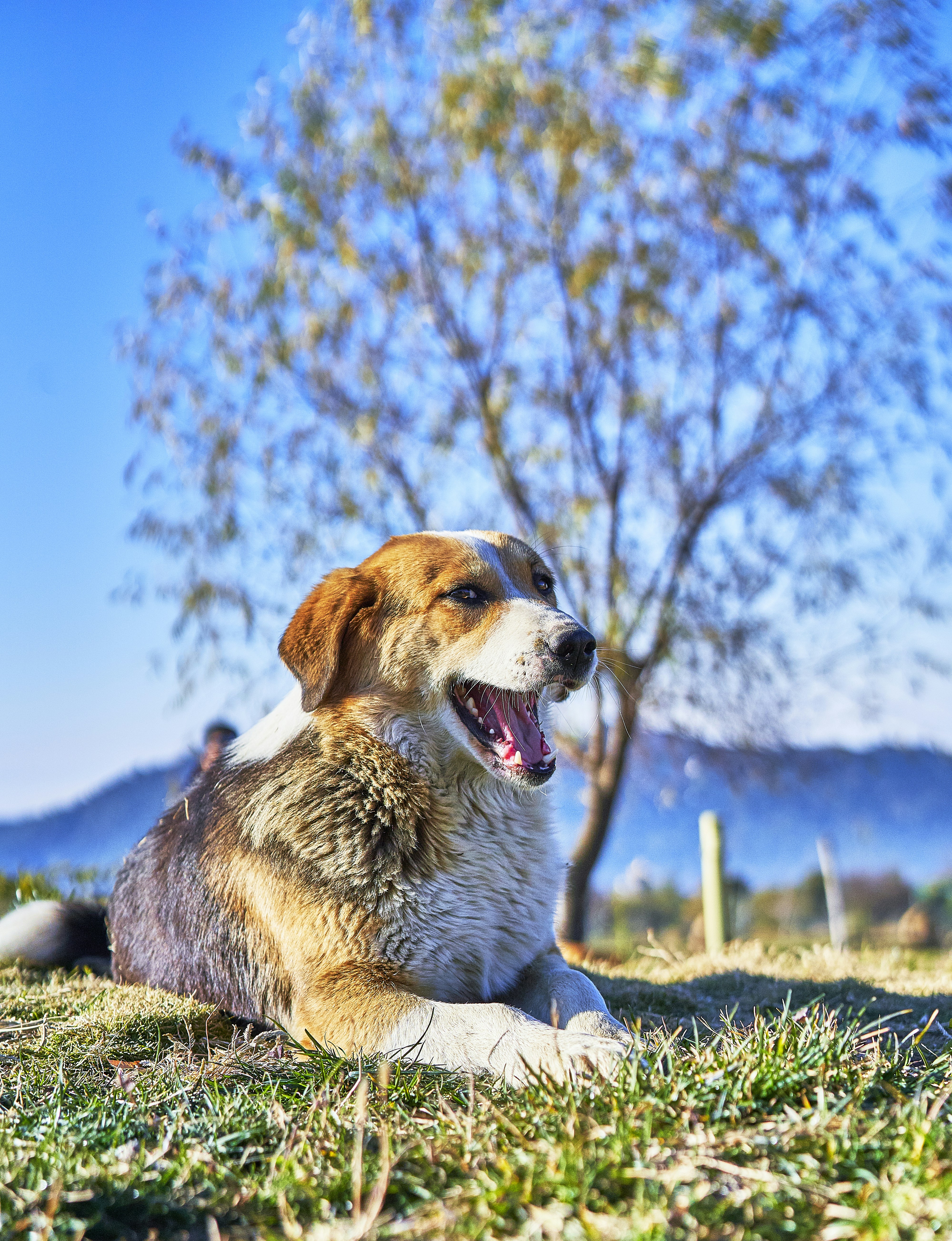 Photo by suicide_chewbacca