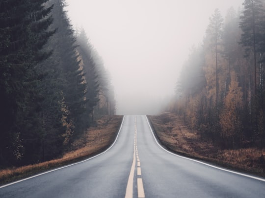 road in forest in Central Finland Finland