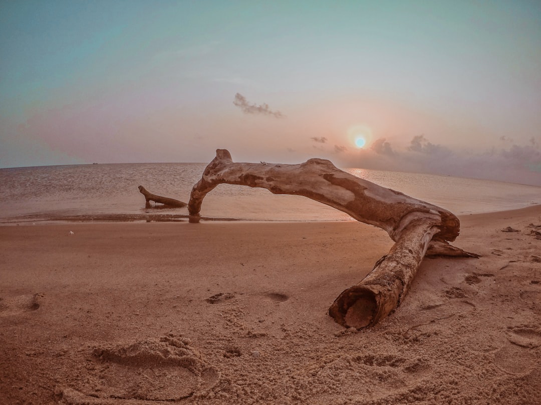 photo of Dhanushkodi Desert near Pamban Bridge