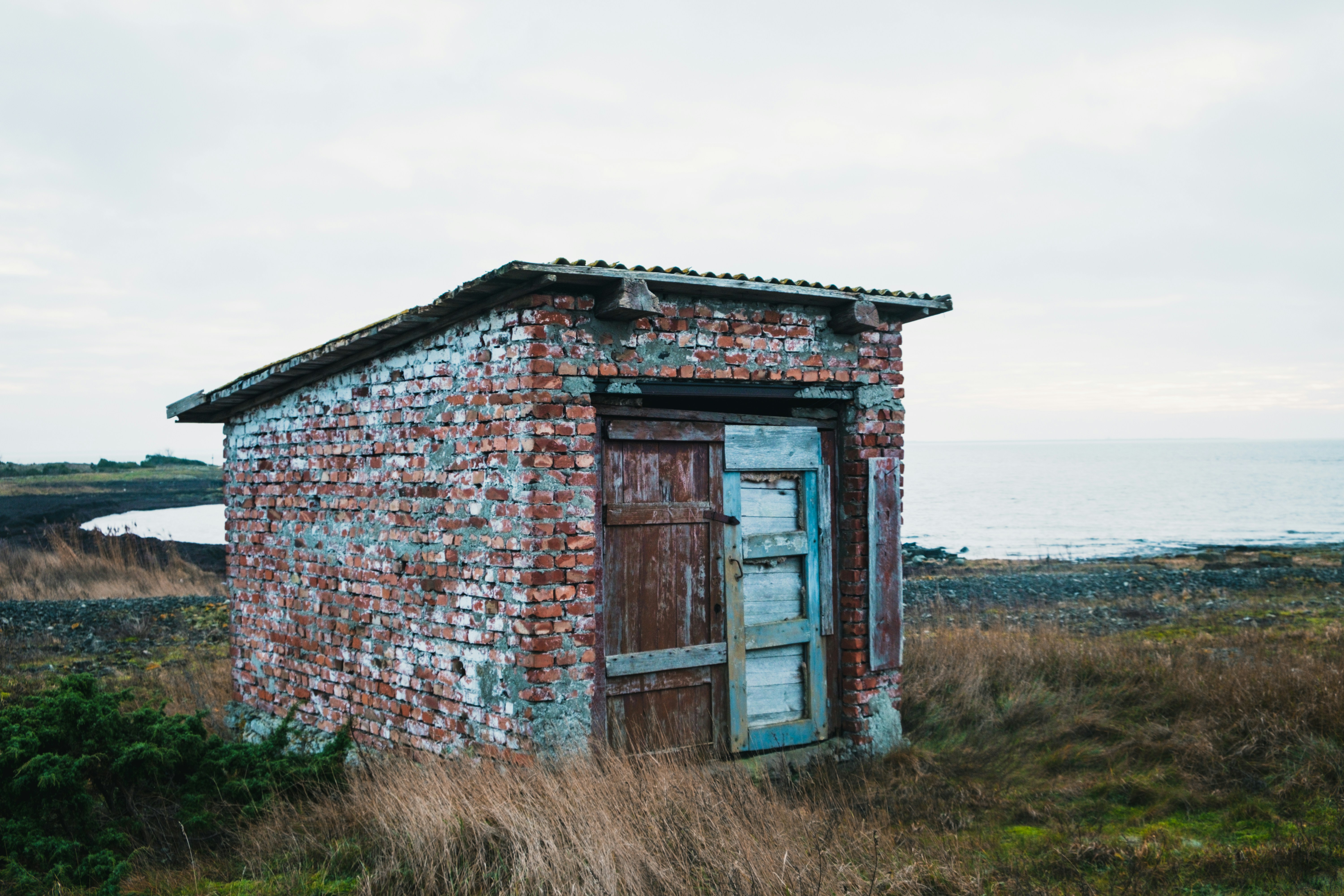 Photo by silverringvee