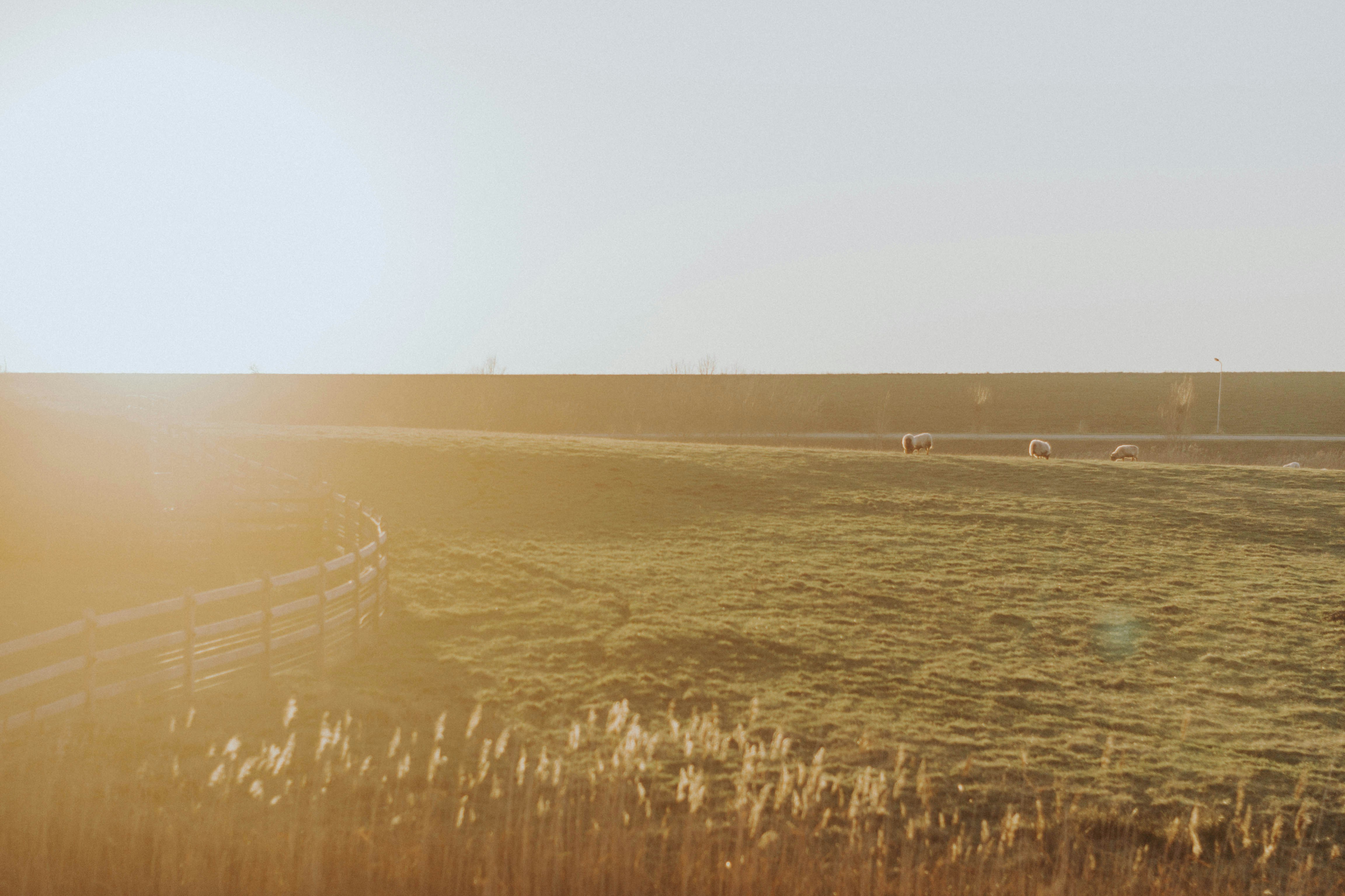 Photo by emielvanbetsbrugge