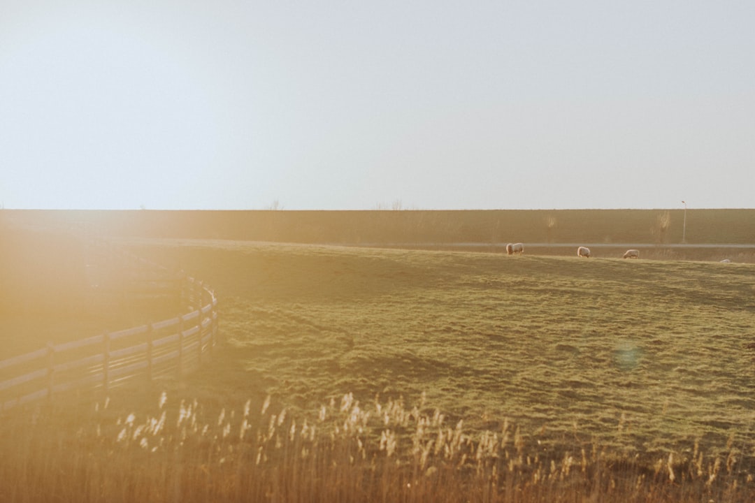 Plain photo spot Cadzand Netherlands