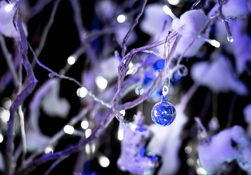 close up photography of blue baubles