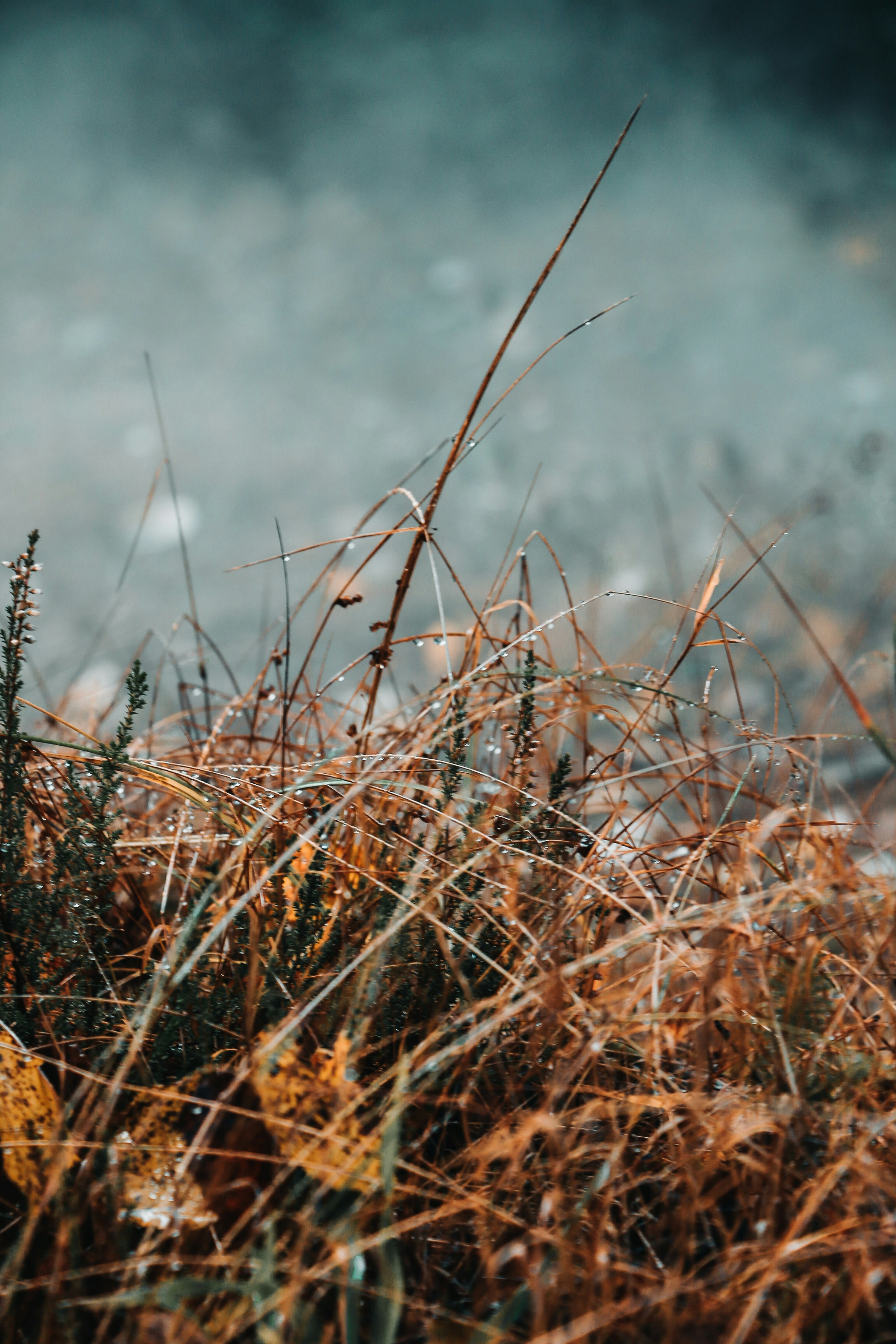 Photo by thatgirlalina