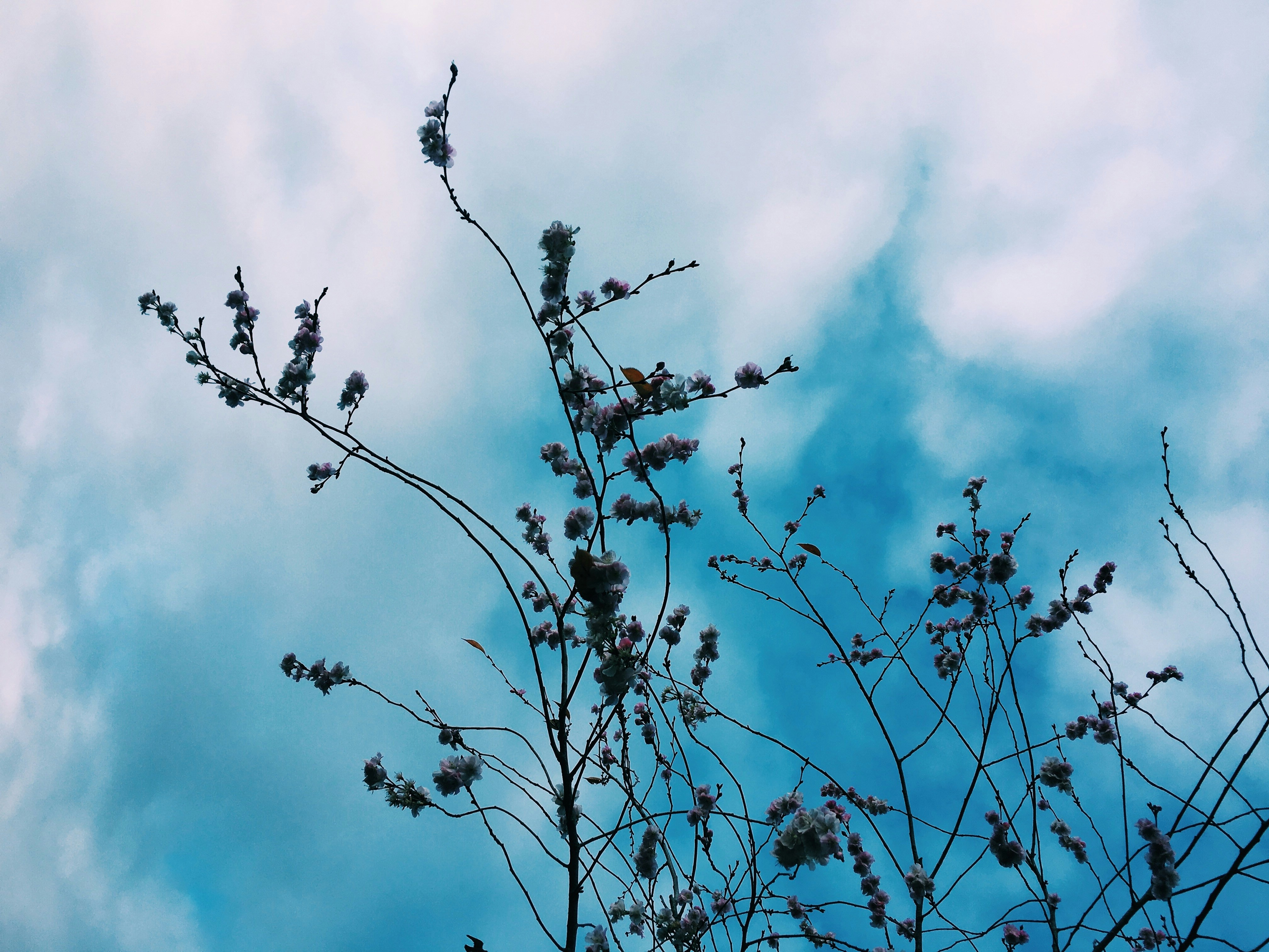 Photo by maximevossen