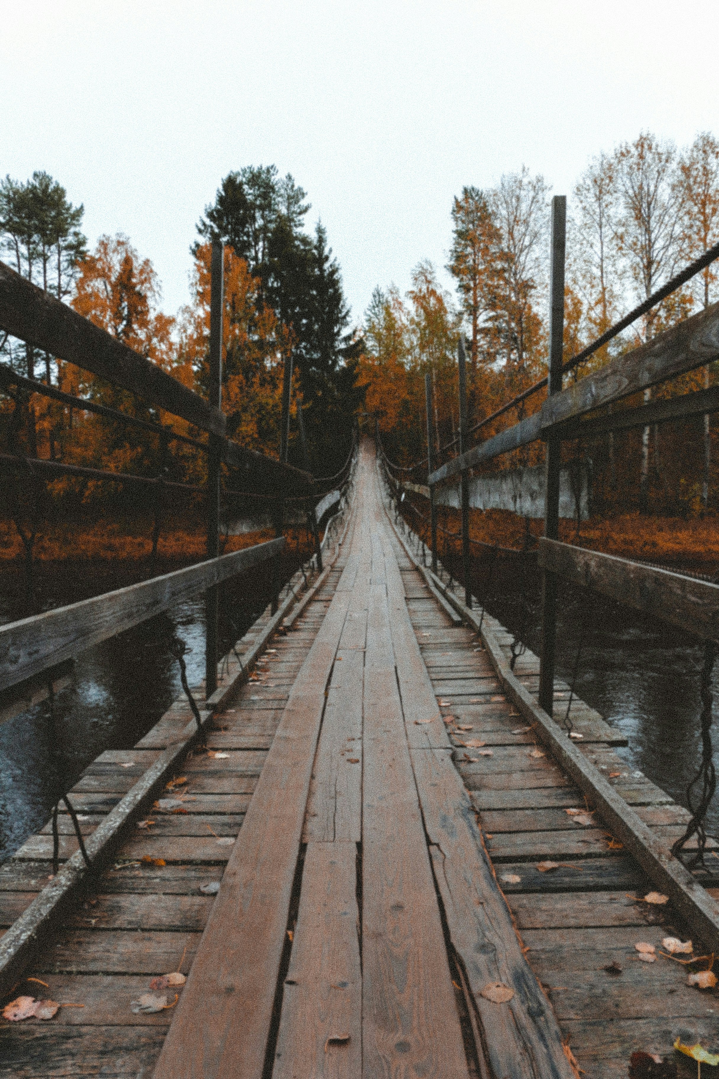 Photo by thatgirlalina