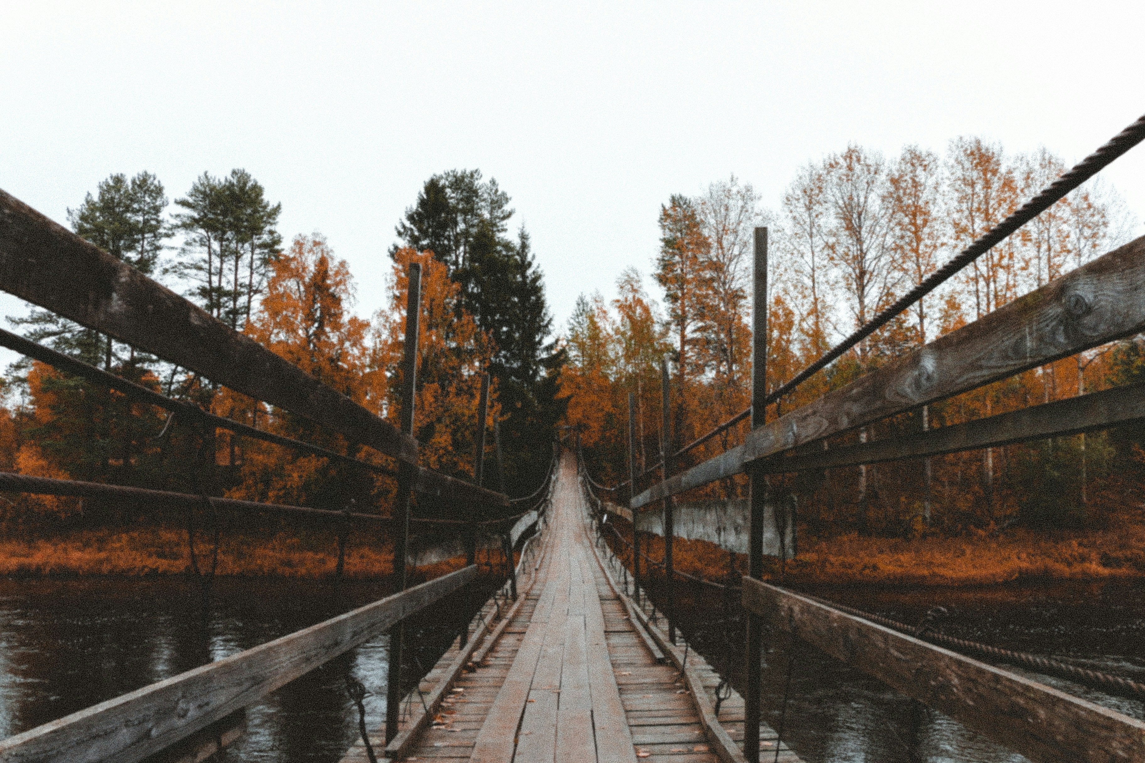 Photo by thatgirlalina