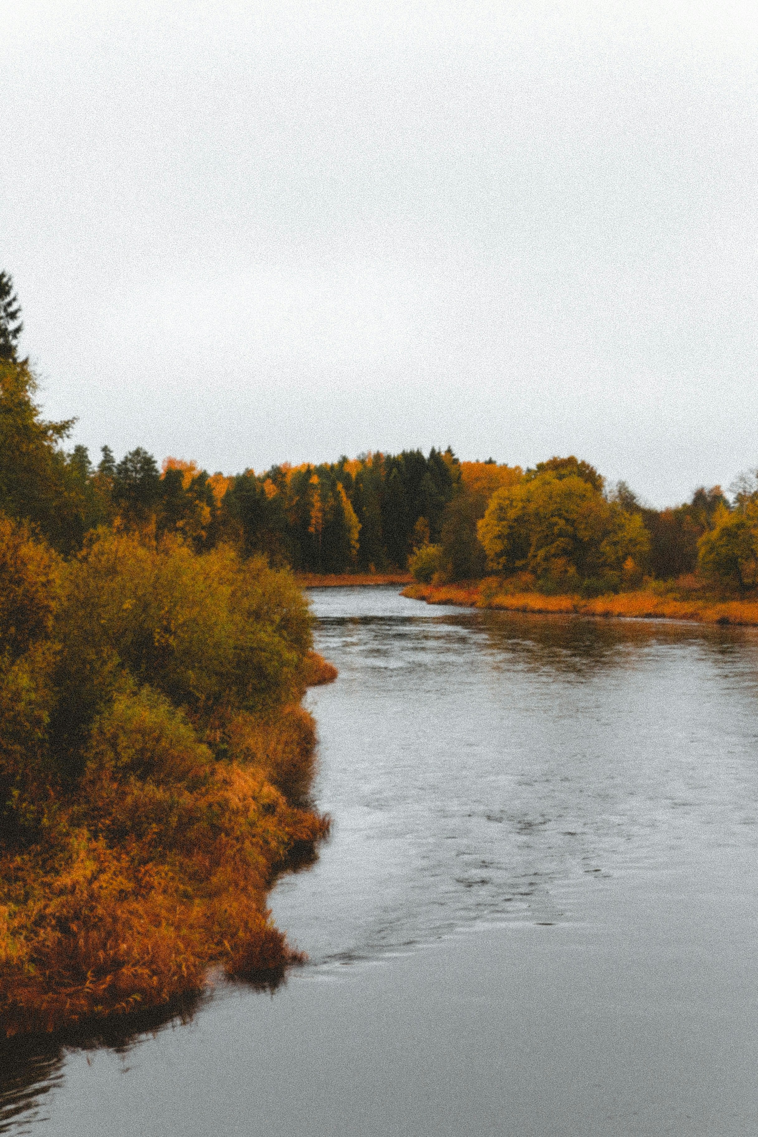 Photo by thatgirlalina