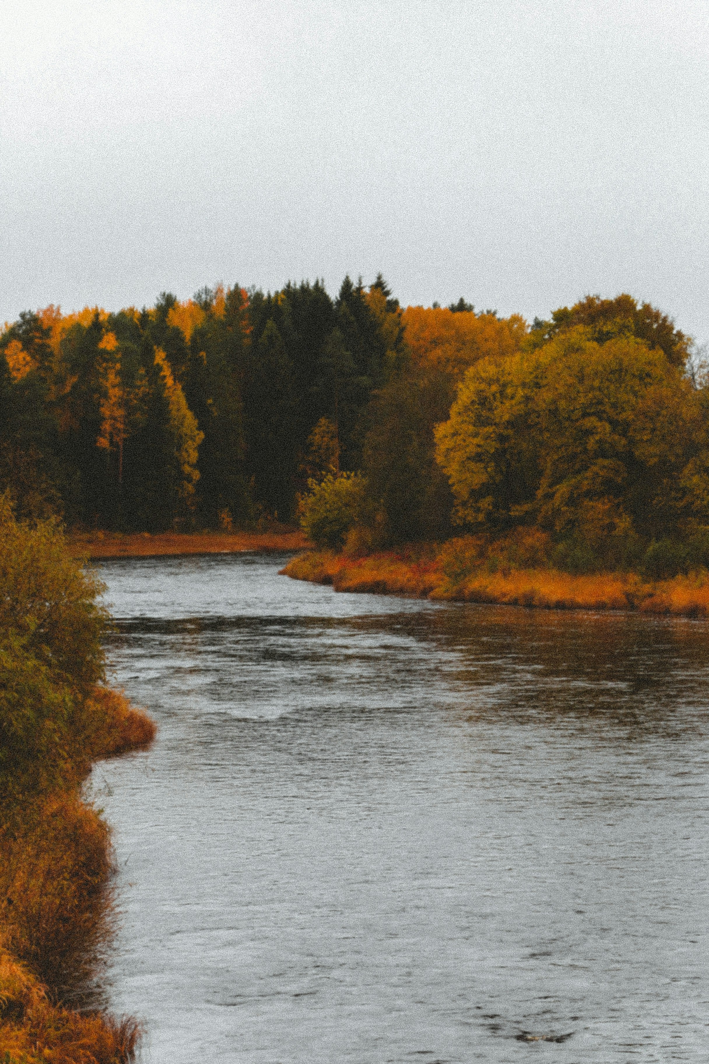 Photo by thatgirlalina