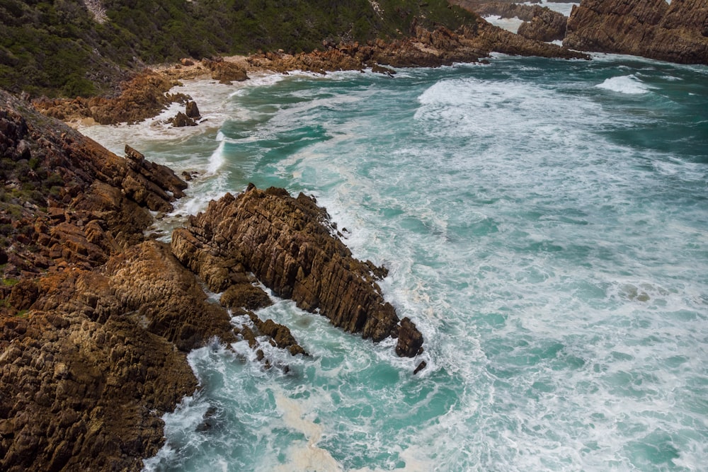 rocky shore during day