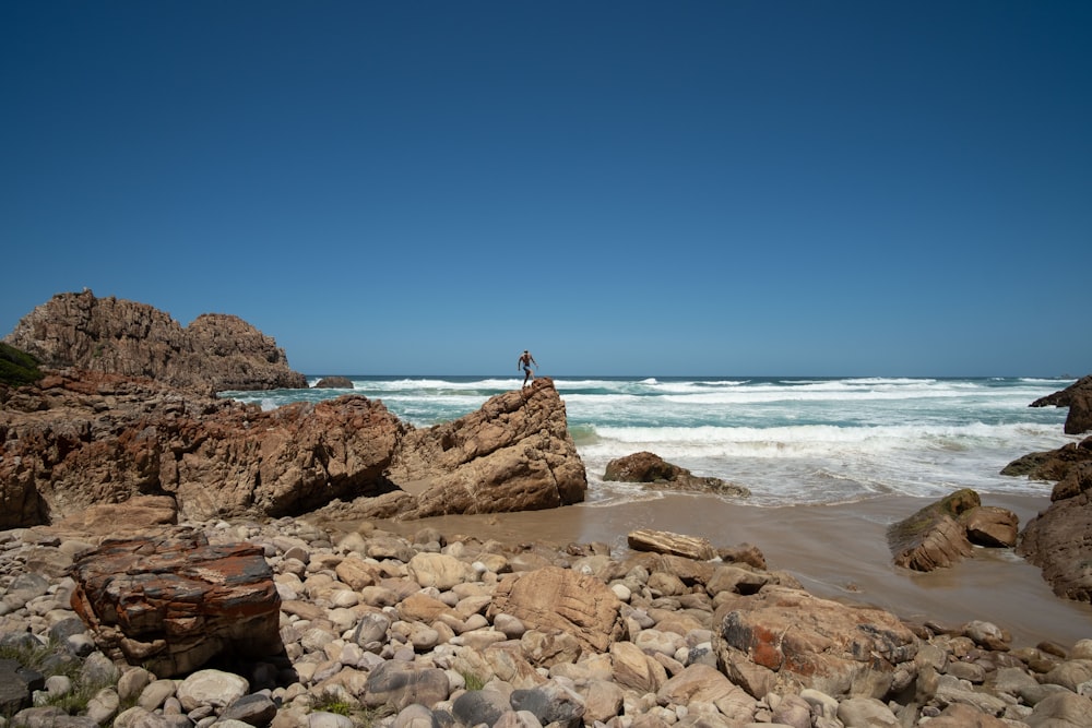 rocky shore during day