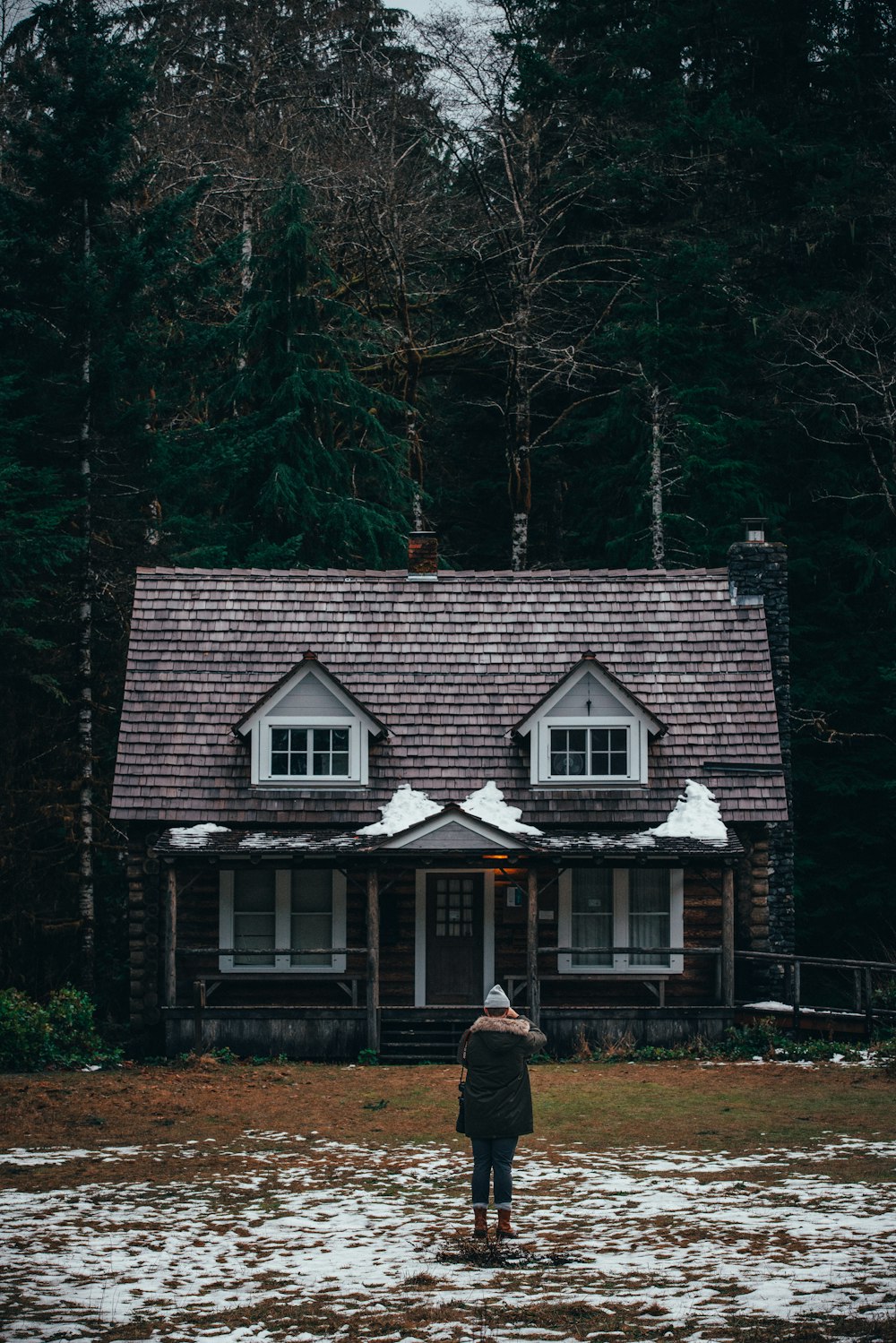 cat in front of cabin