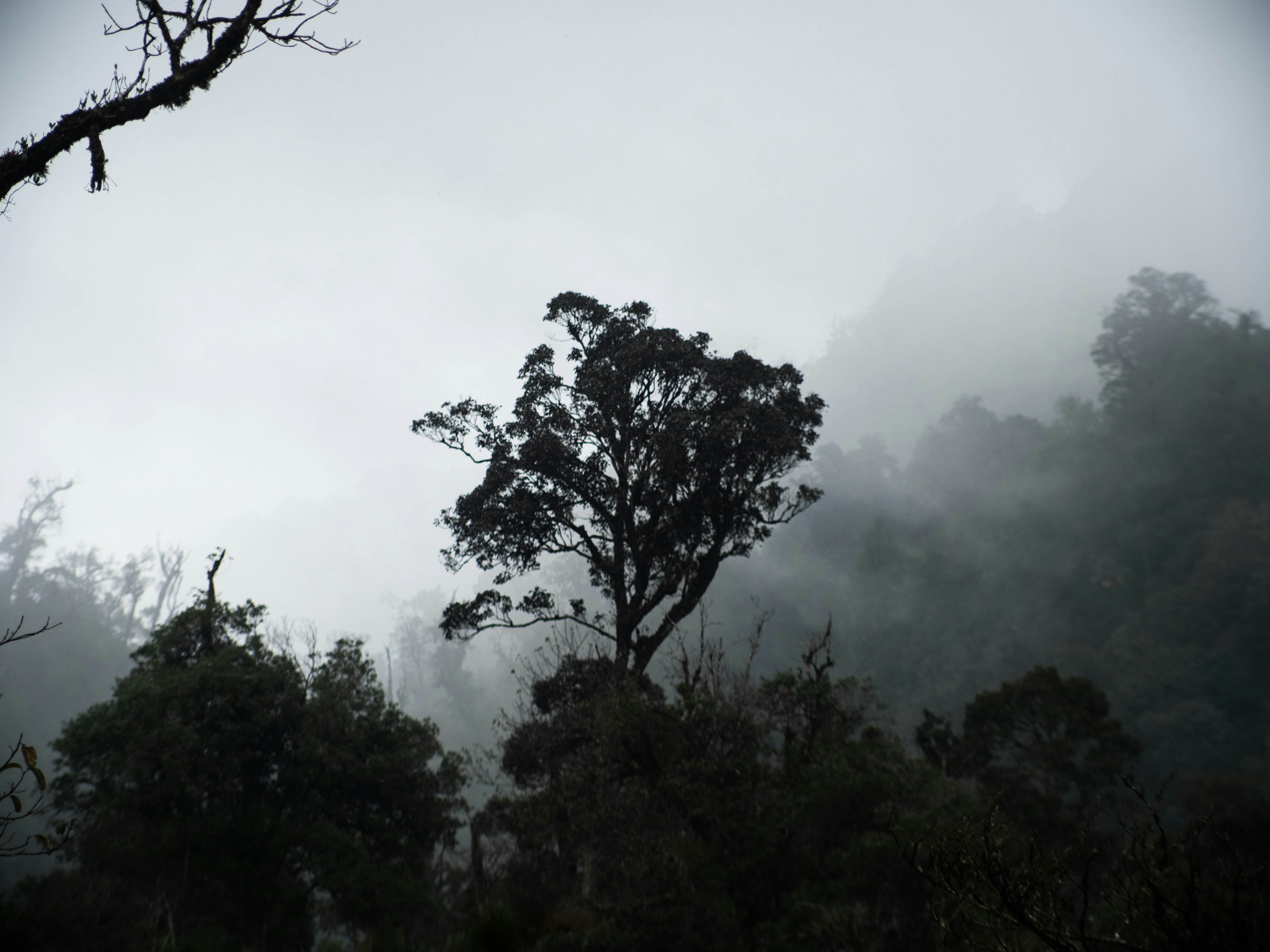 Photo by ondrej_matous