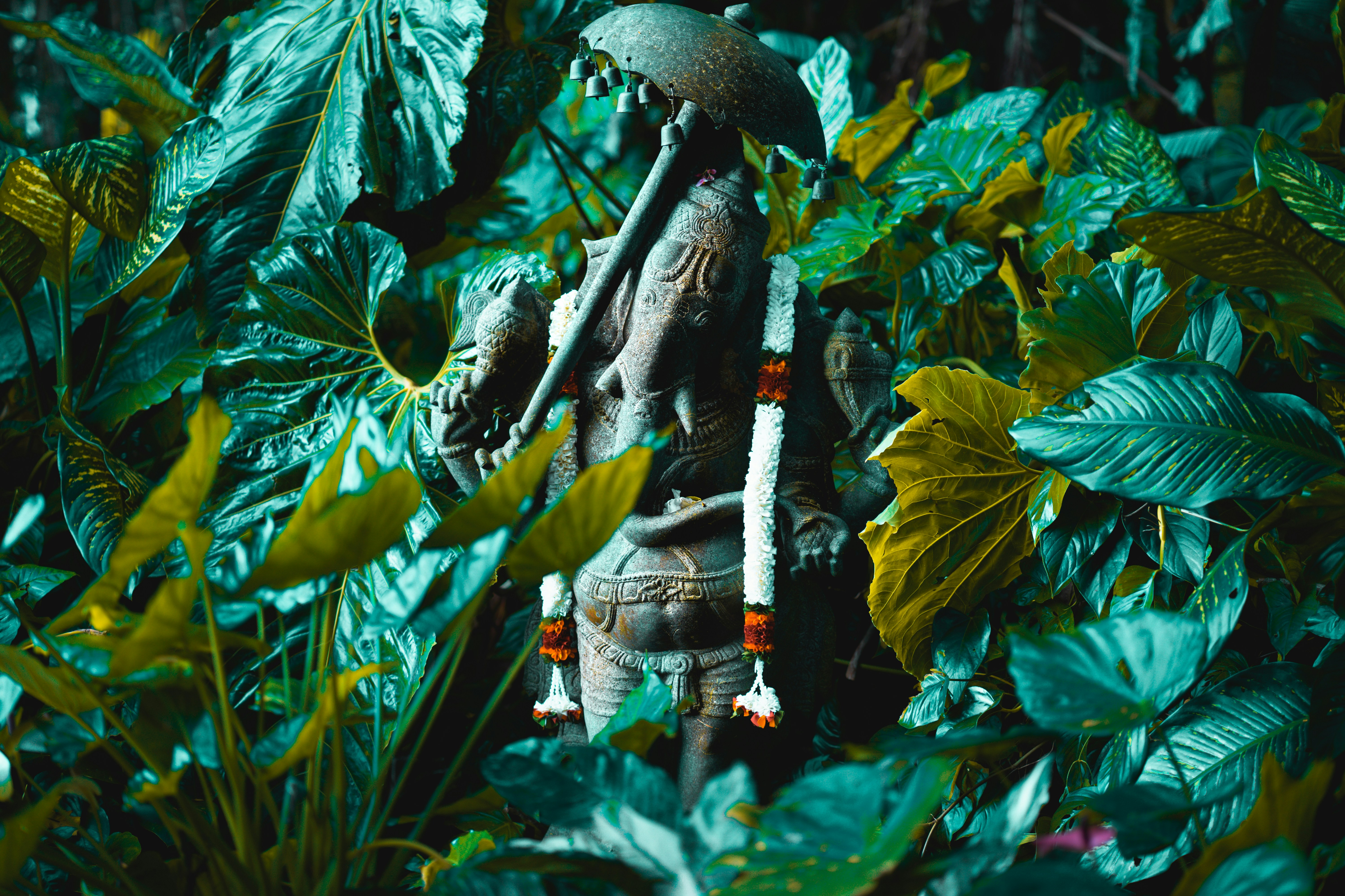 ancient jungle warfare wallpaper, wallpaper, Taktik Perang Rakyat Aceh: Strategi Gerilya dan Perlawanan Sabil 1