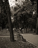 A serene park scene with a writer sitting on a bench.