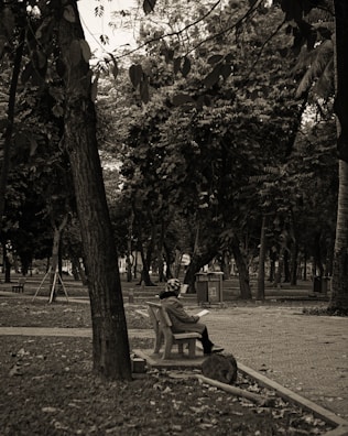A serene park scene with a writer sitting on a bench.