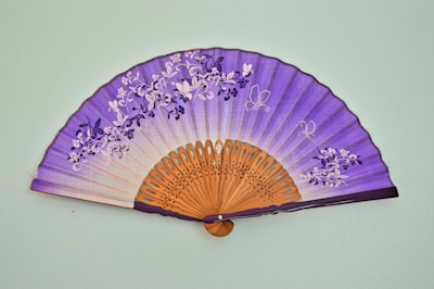 A beautifully crafted smudge fan made with natural feathers and wrapped in leather.