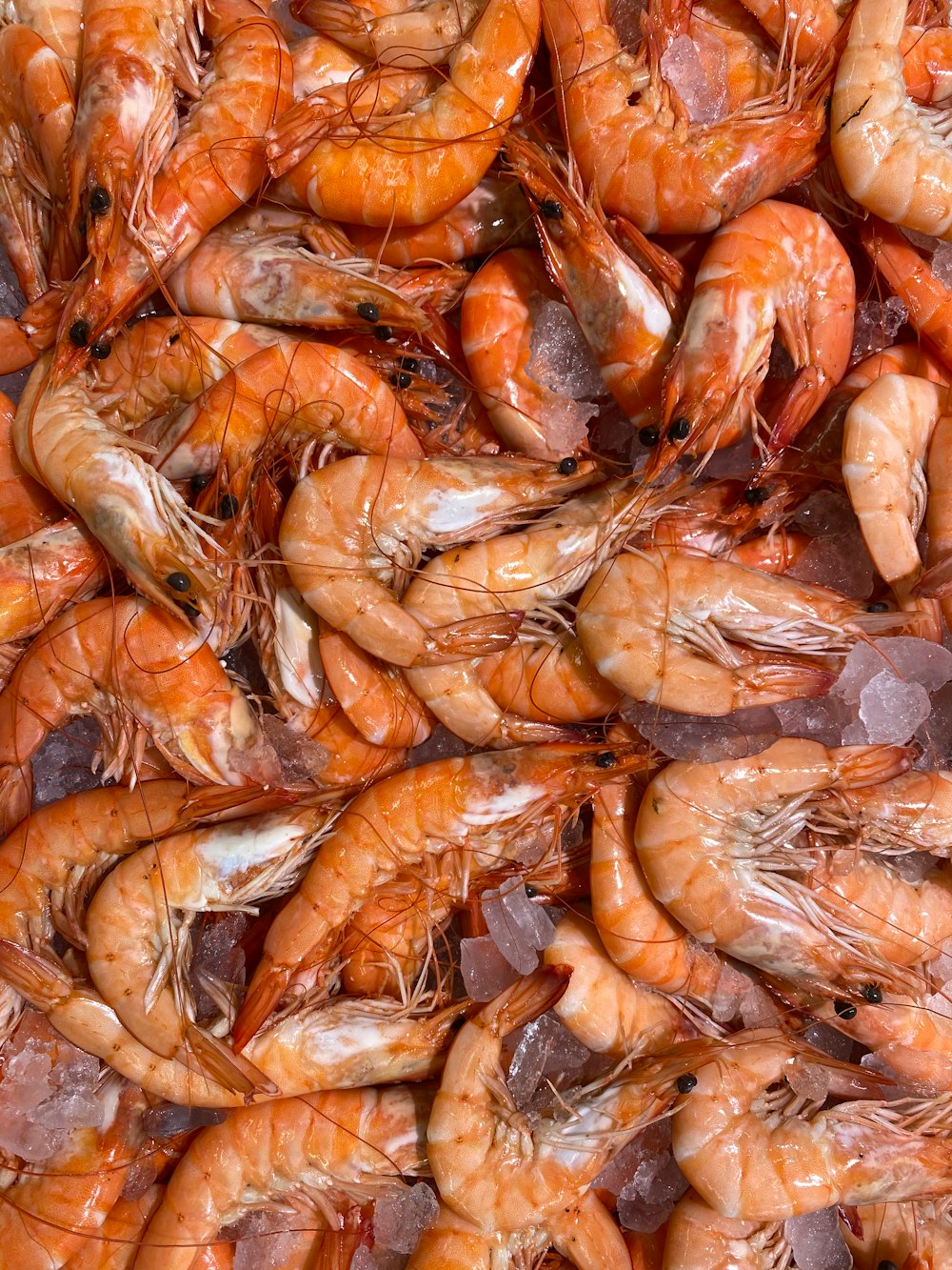 pile of shrimps
