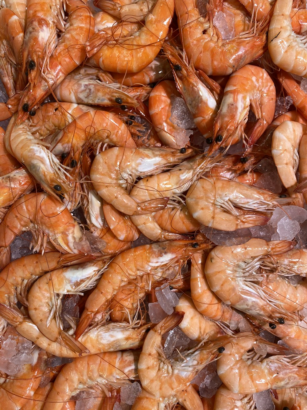 tas de crevettes