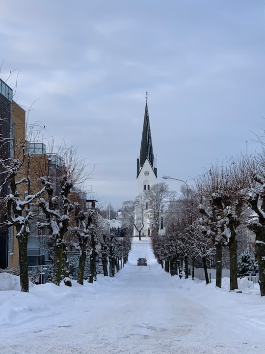 cathedral facing road between bare trees in Hamar Norway