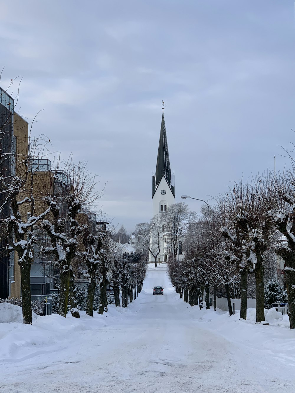 cathedral facing road between bare trees