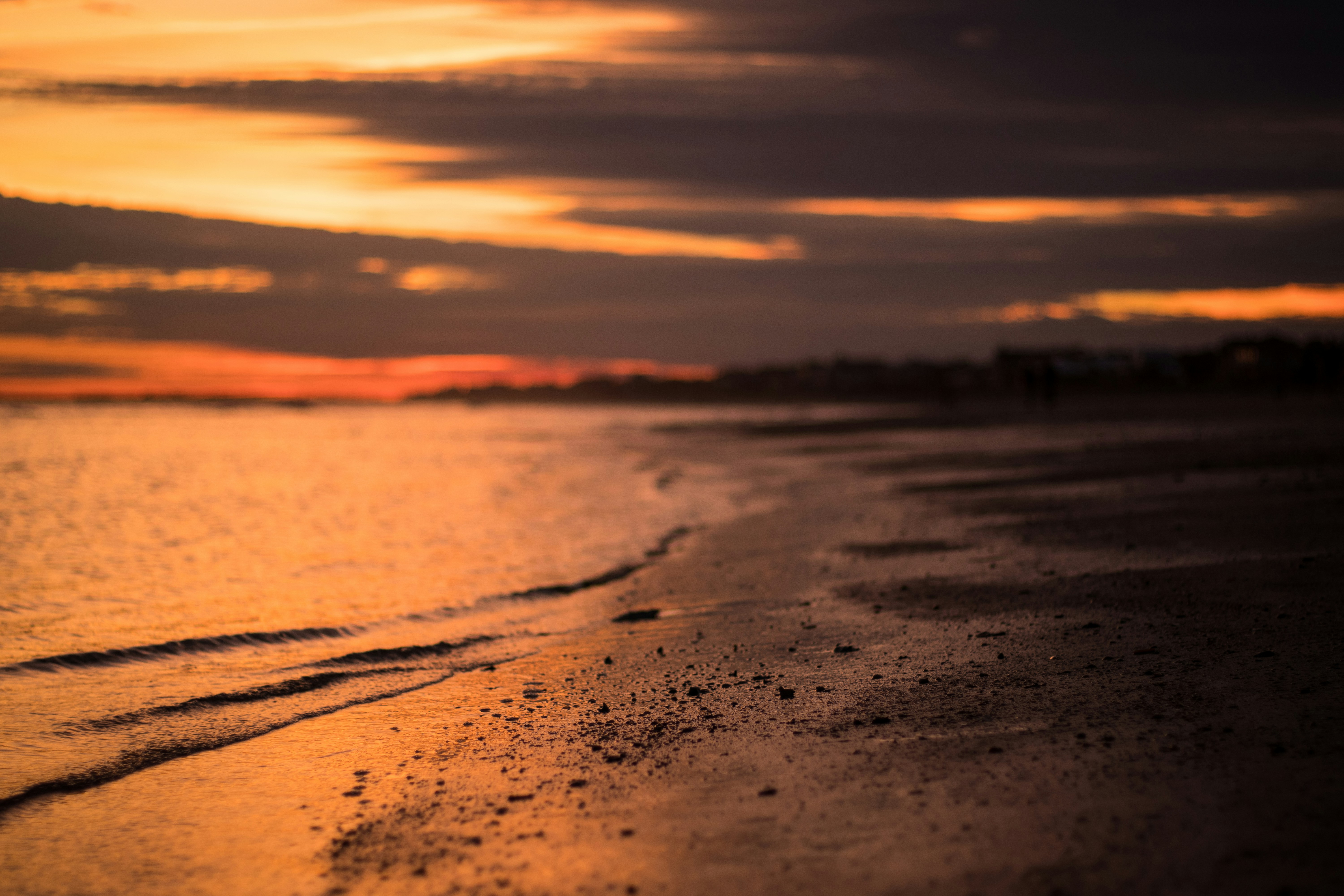 Photo by trentpalmer