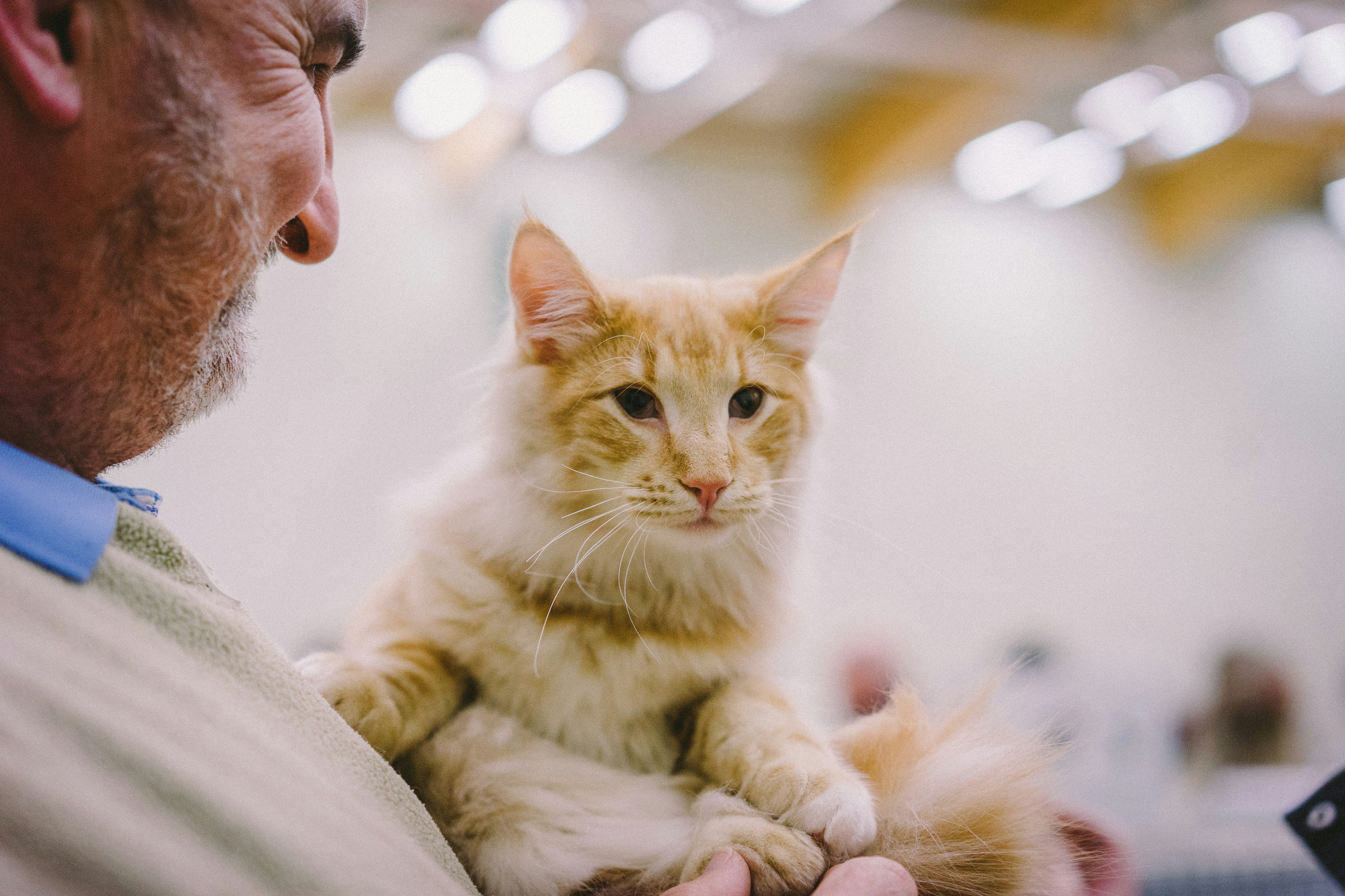 Banfield Pet Hospital