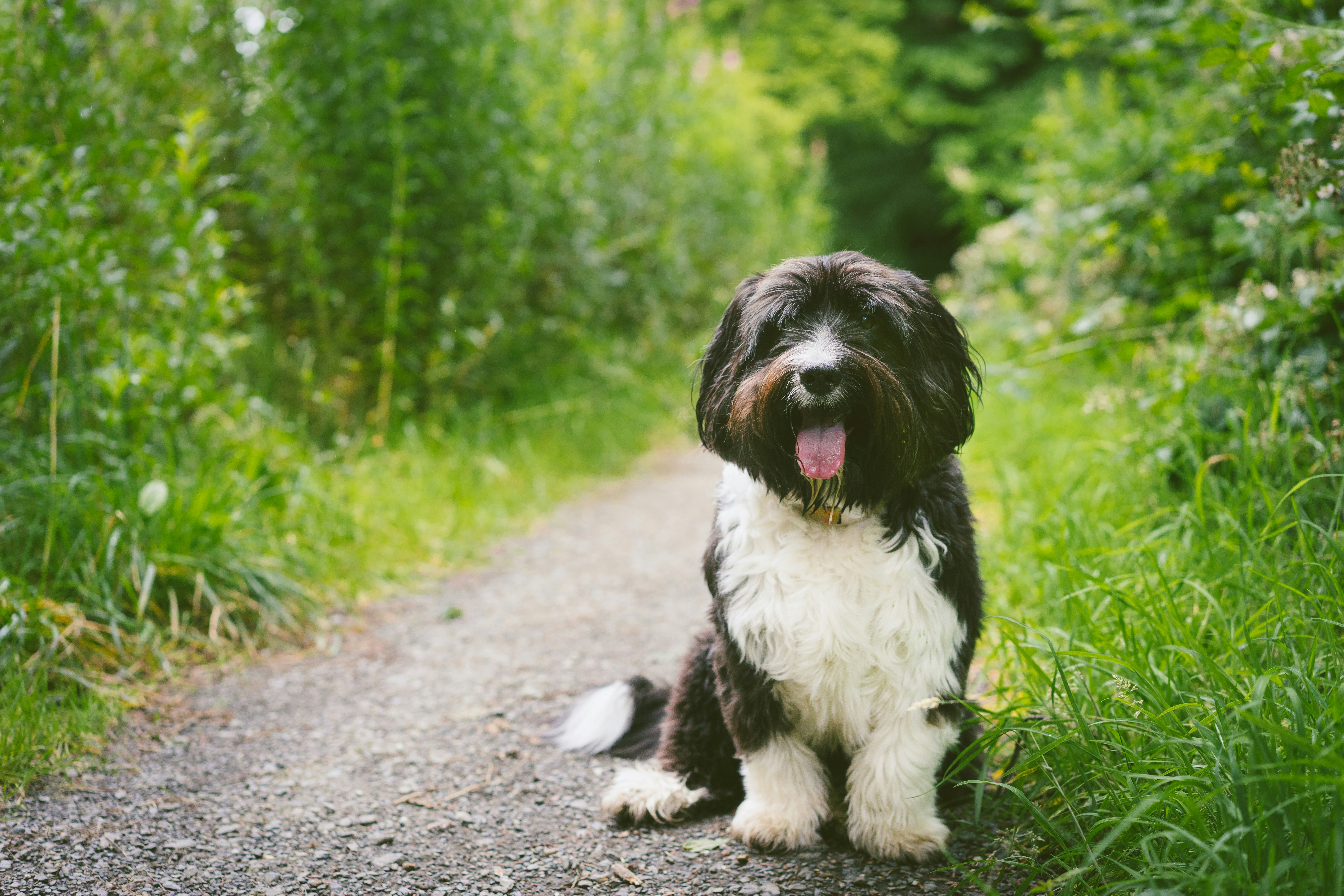 Photo by keizgoesboom