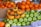 A colorful assortment of seasonal fruits arranged neatly.
