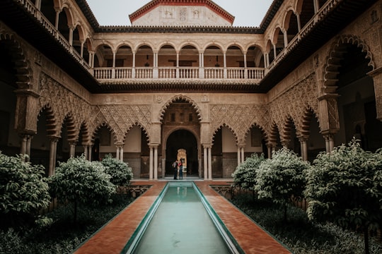 None in Alcázar of Seville Spain