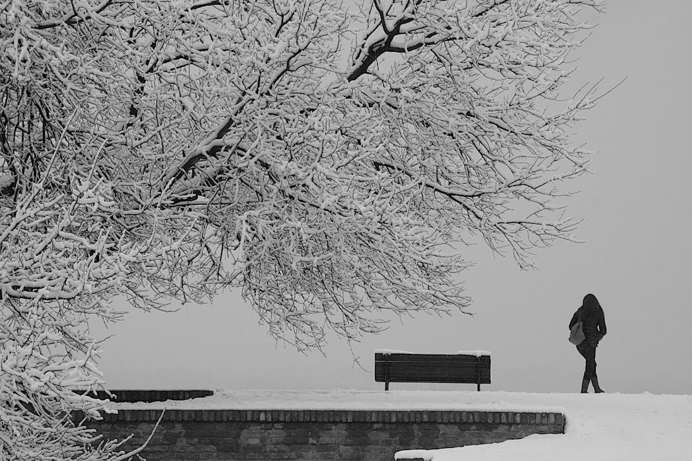 person walking away from bench