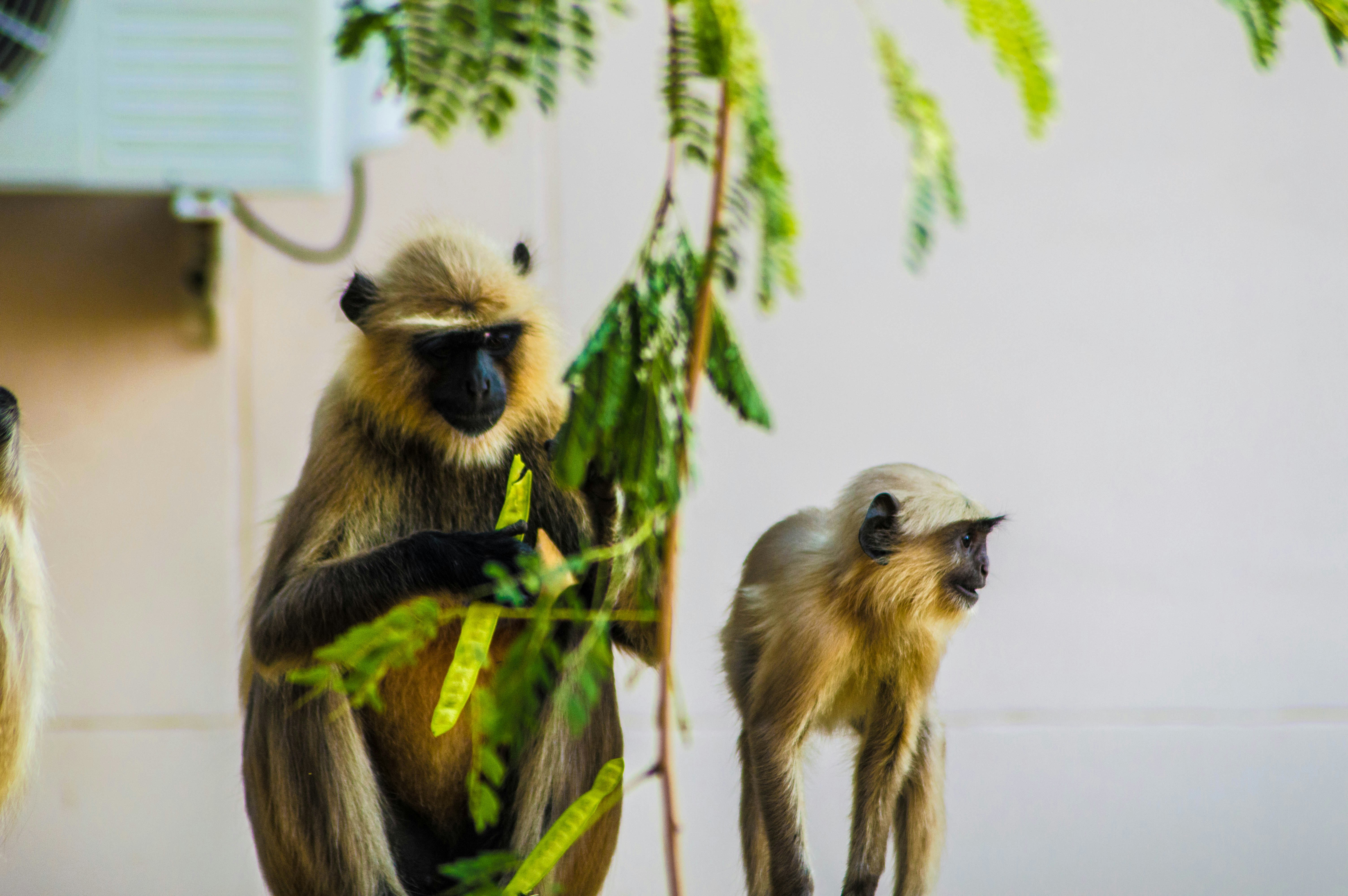 Photo by i_am_a_techgeek